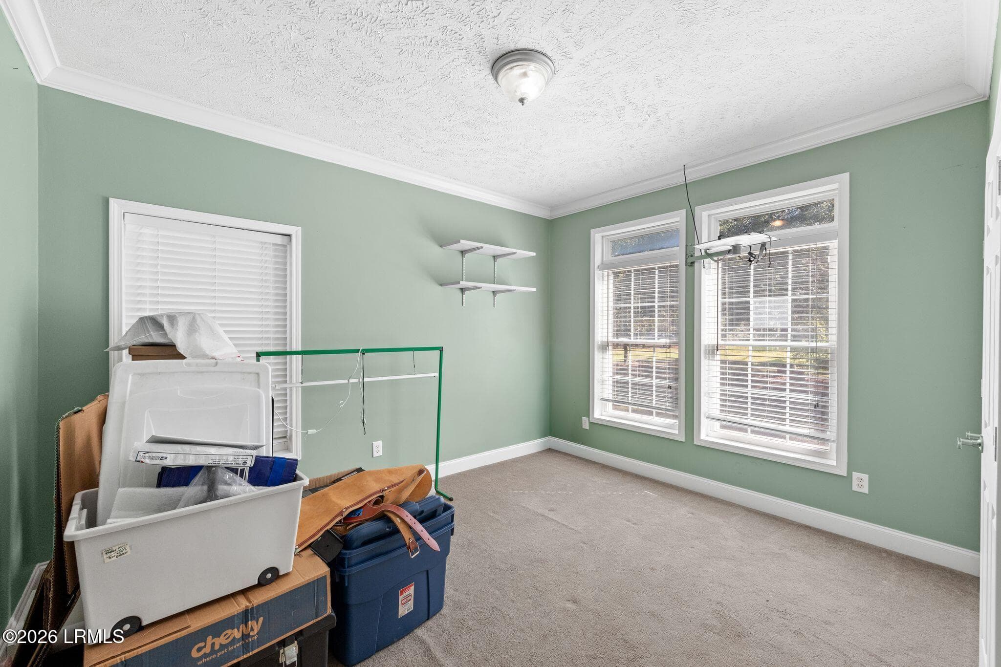 029 - 119 Beaver Crossing, Early Branch, SC 29916