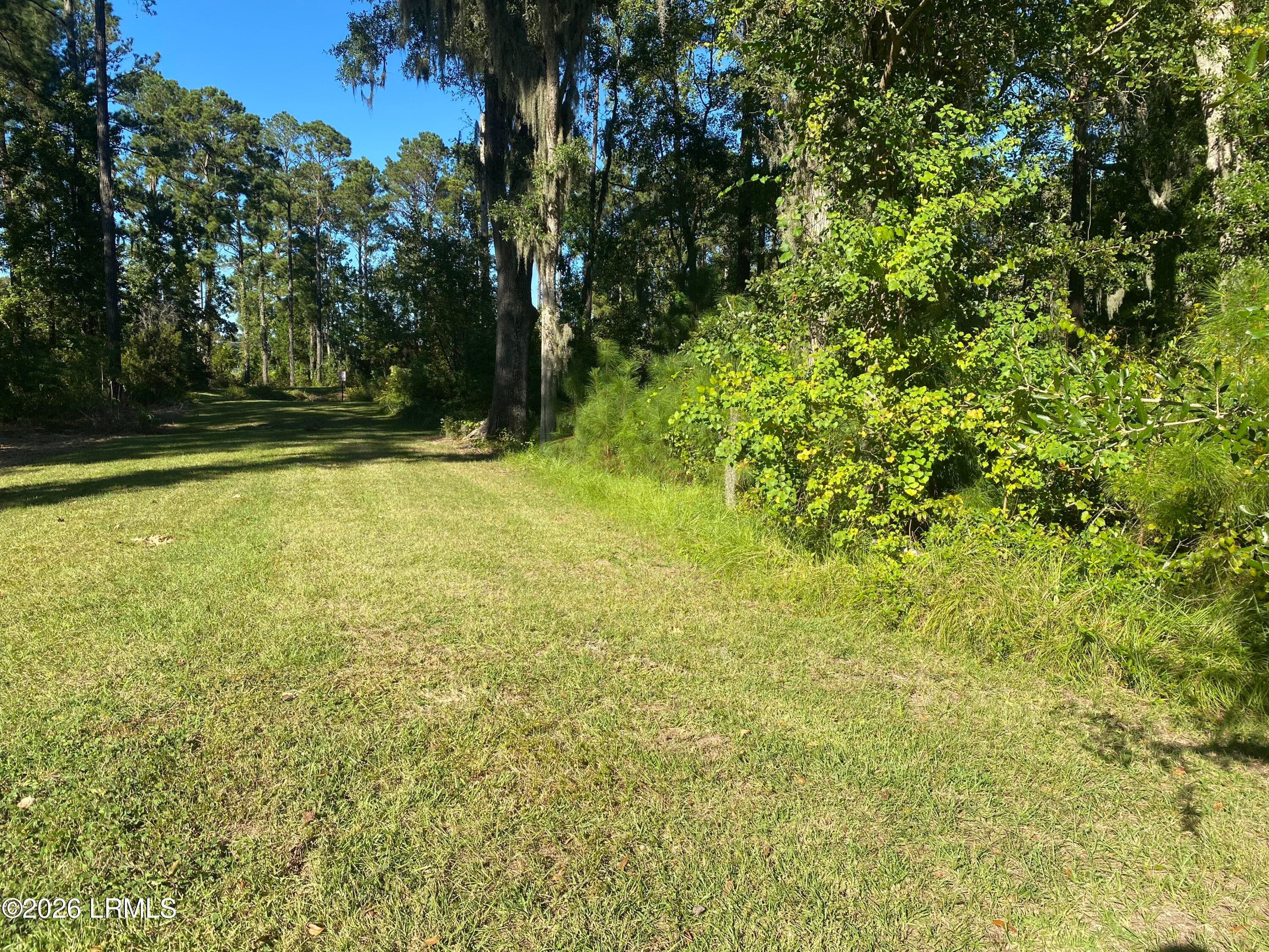 yard and woods - 105 Teal Bluff Boulevard, Seabrook, SC 29940