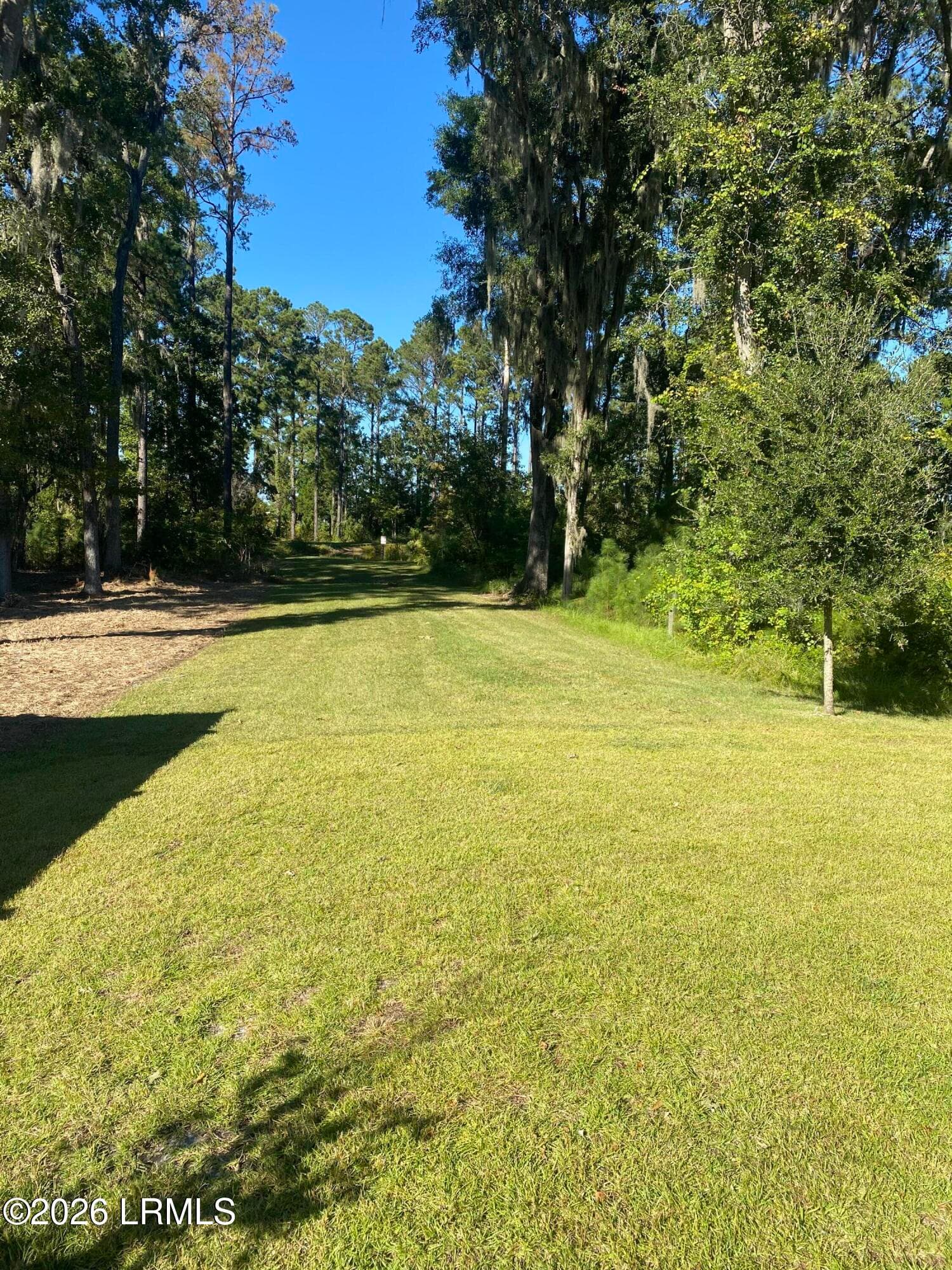 Beautiful yard - 105 Teal Bluff Boulevard, Seabrook, SC 29940