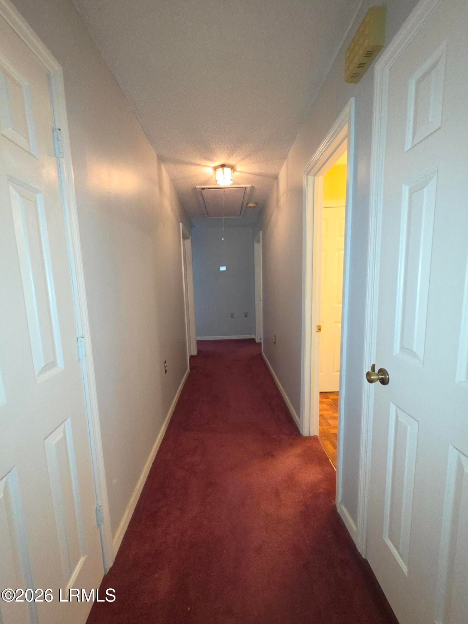 20261020_134442 - 1512 Big Branch Road, Early Branch, SC 29916