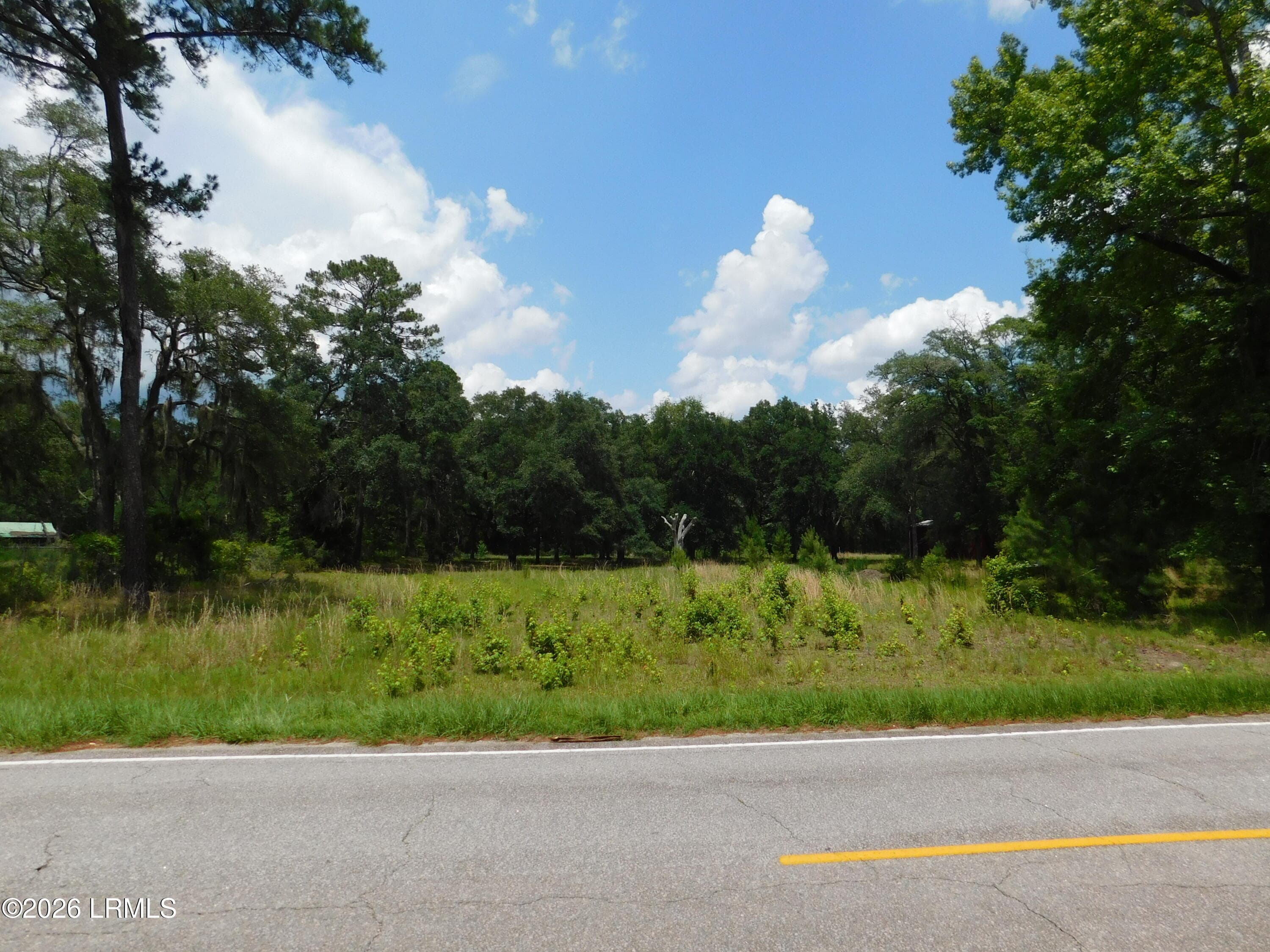 Left side of propertyDSCN7269[1] - 25121 Pocotaligo Road, Yemassee, SC 29945