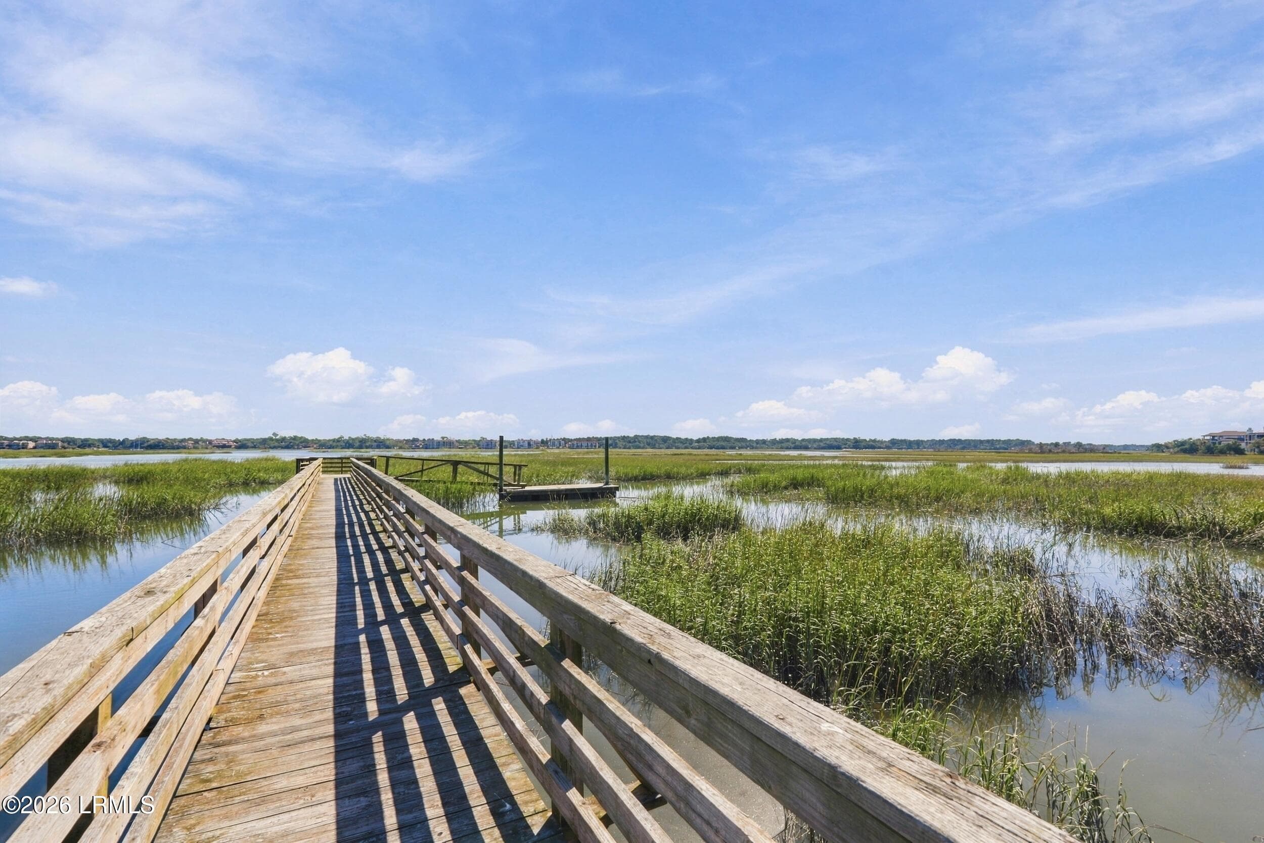 58_dsc06663 - 45 Peregrine Drive, Hilton Head Island, SC 29926