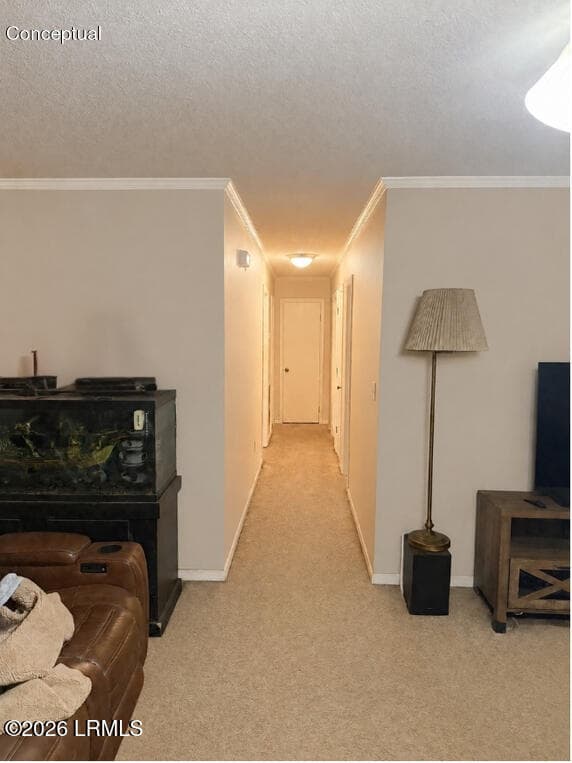Photo Lighting Match (10) - 54 Wade Hampton Drive, Beaufort, SC 29907