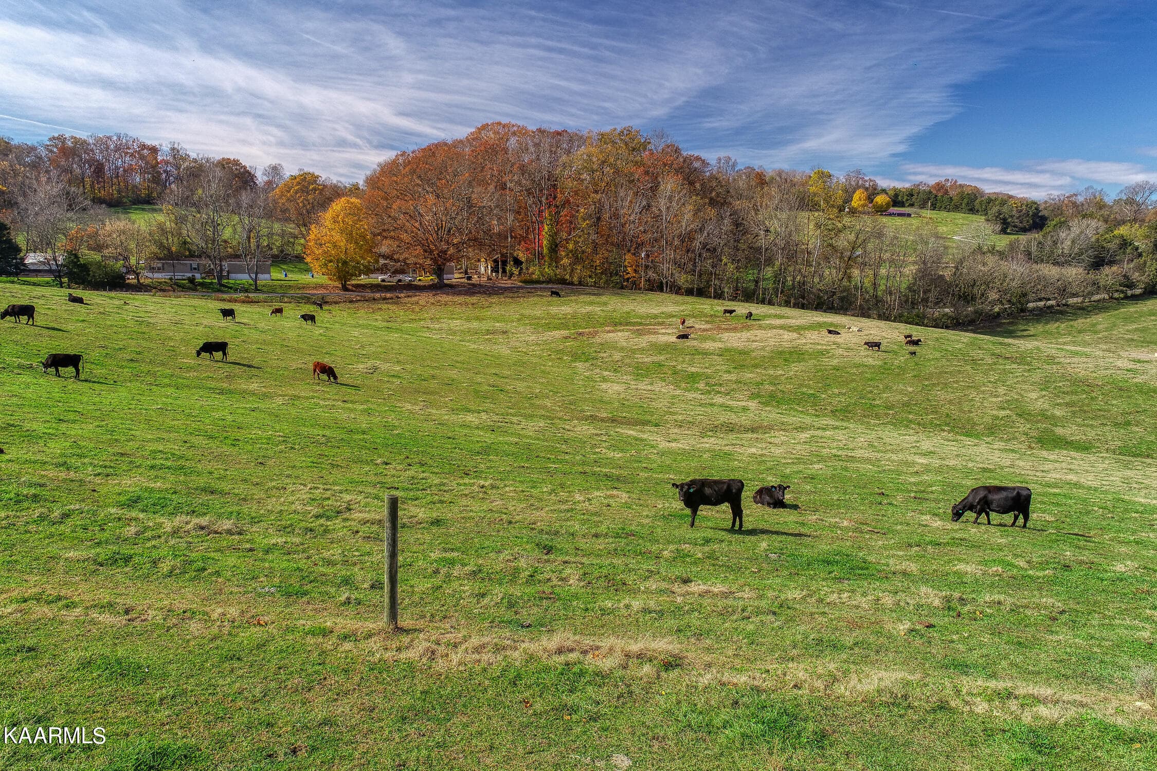 D. Hill. Rocky Top. TN MLSa (24 of 46) - 311 Ross Cemetery Rd, Rocky Top, TN 37769