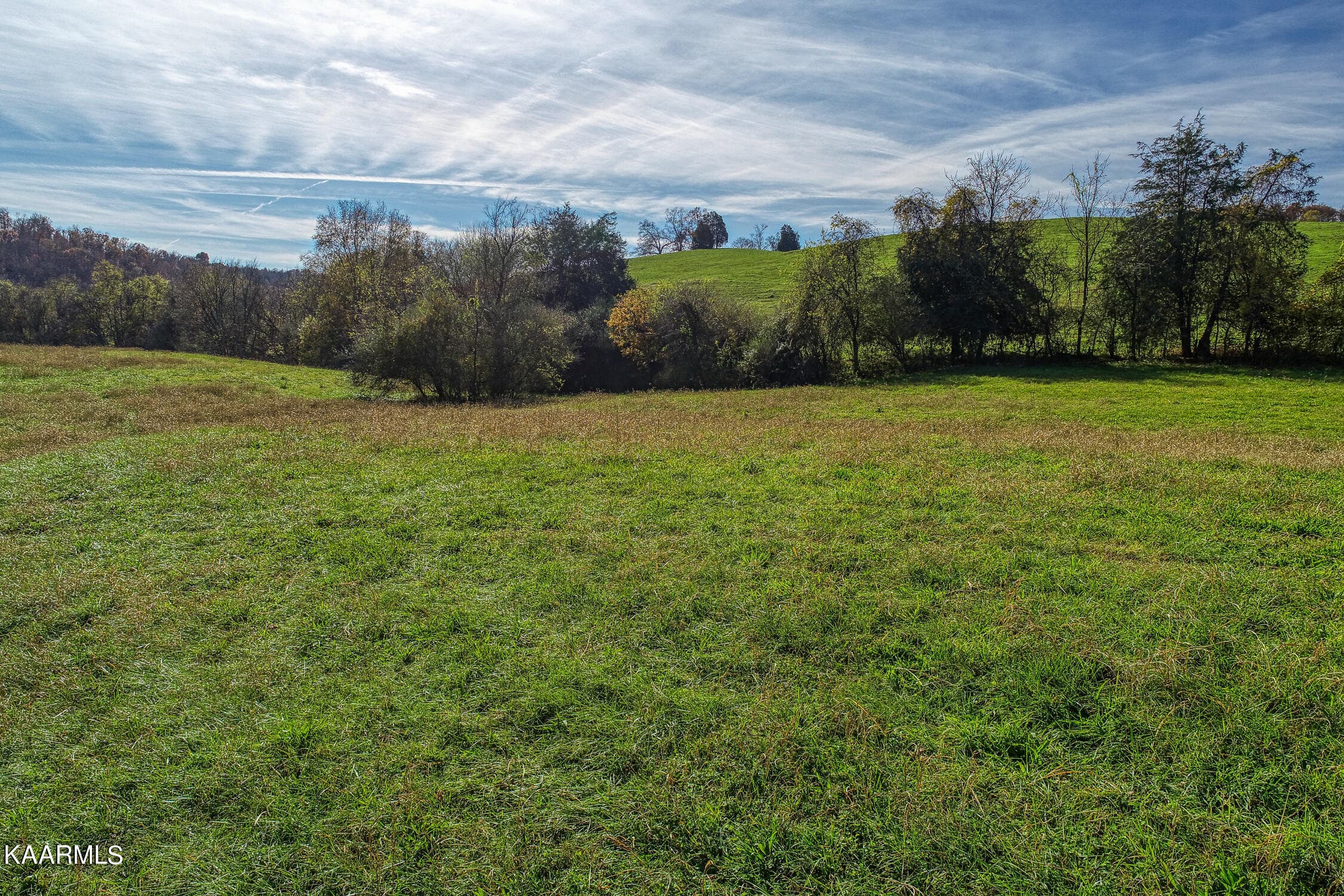 D. Hill. Rocky Top. TN MLSa (31 of 46) - 311 Ross Cemetery Rd, Rocky Top, TN 37769