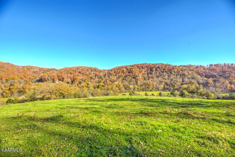 DSC_0013_4_5_6_7 - 311 Ross Cemetery Rd, Rocky Top, TN 37769
