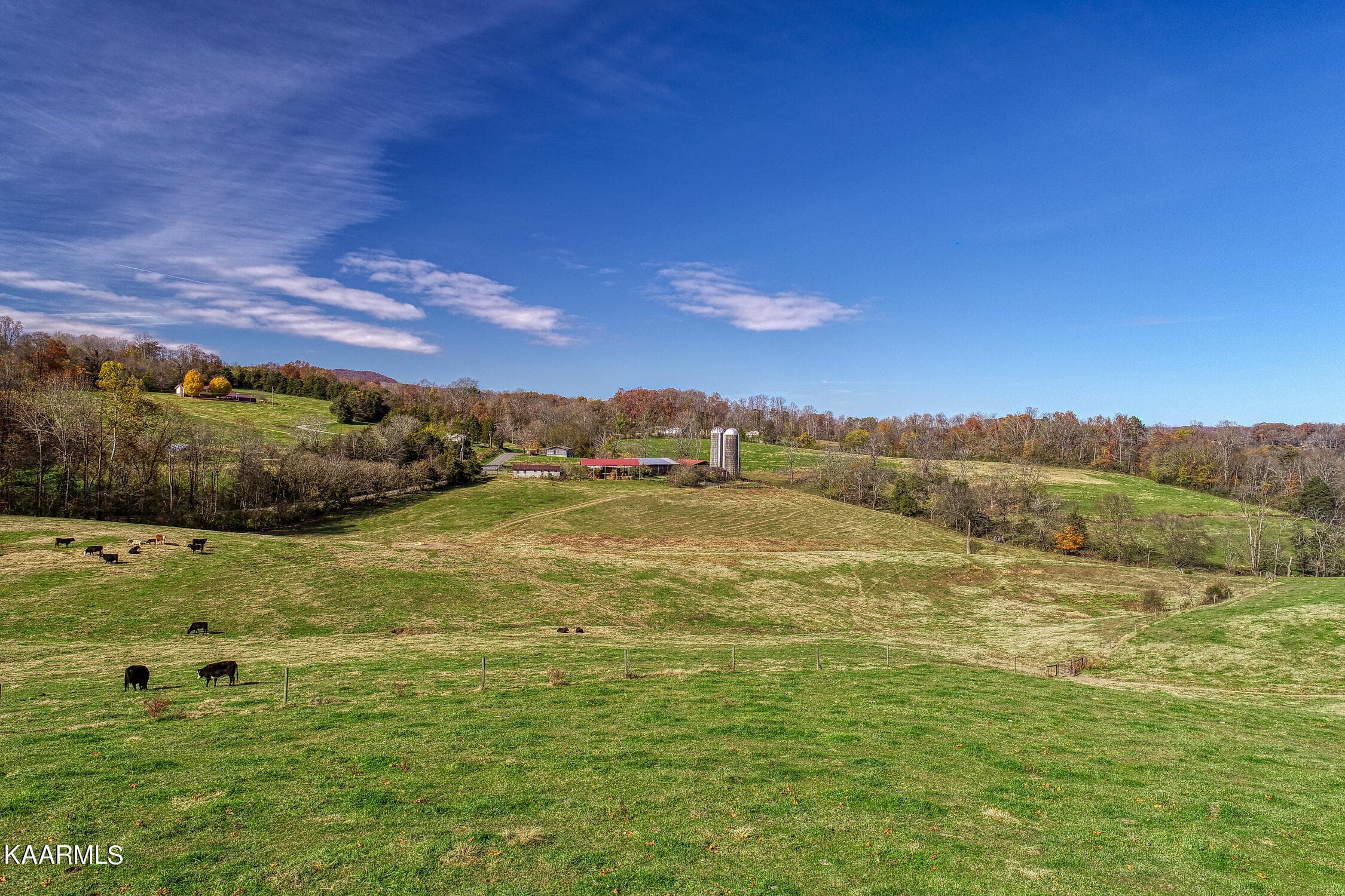 D. Hill. Rocky Top. TN MLSa (28 of 46) - 311 Ross Cemetery Rd, Rocky Top, TN 37769