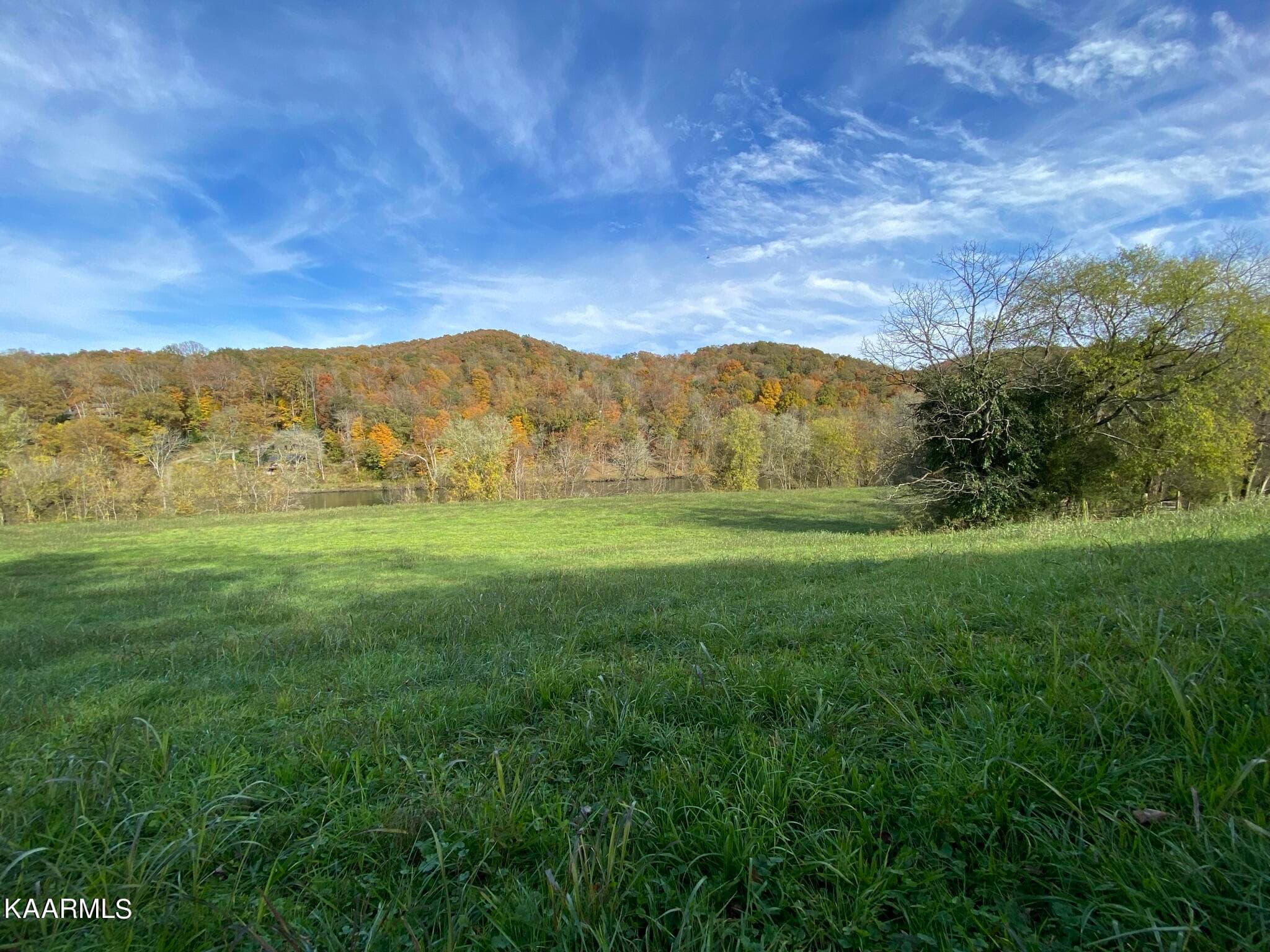 IMG_2492 - 311 Ross Cemetery Rd, Rocky Top, TN 37769