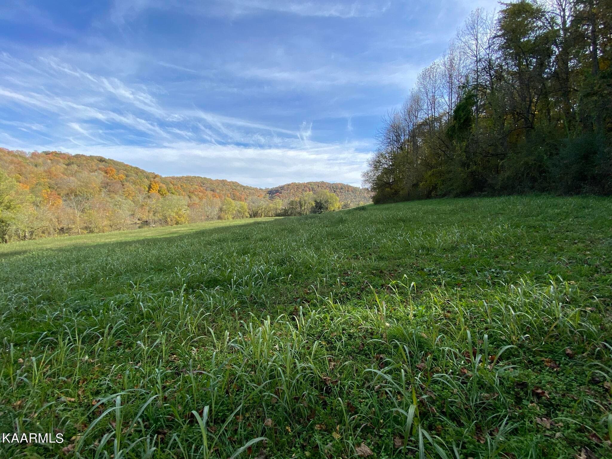 IMG_2528 - 311 Ross Cemetery Rd, Rocky Top, TN 37769