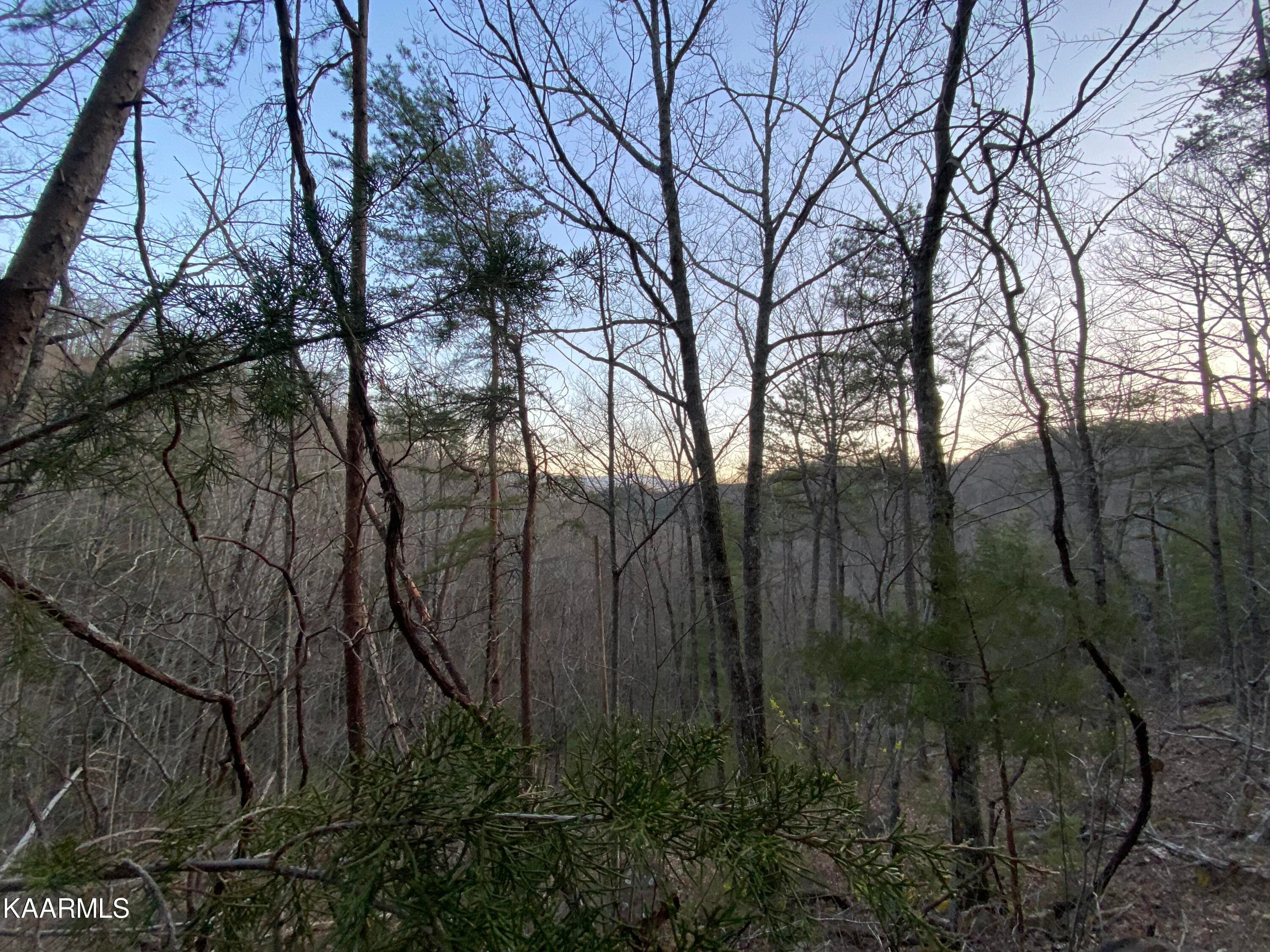 IMG_9397 - Lot 46 Beechwood St, Sevierville, TN 37876