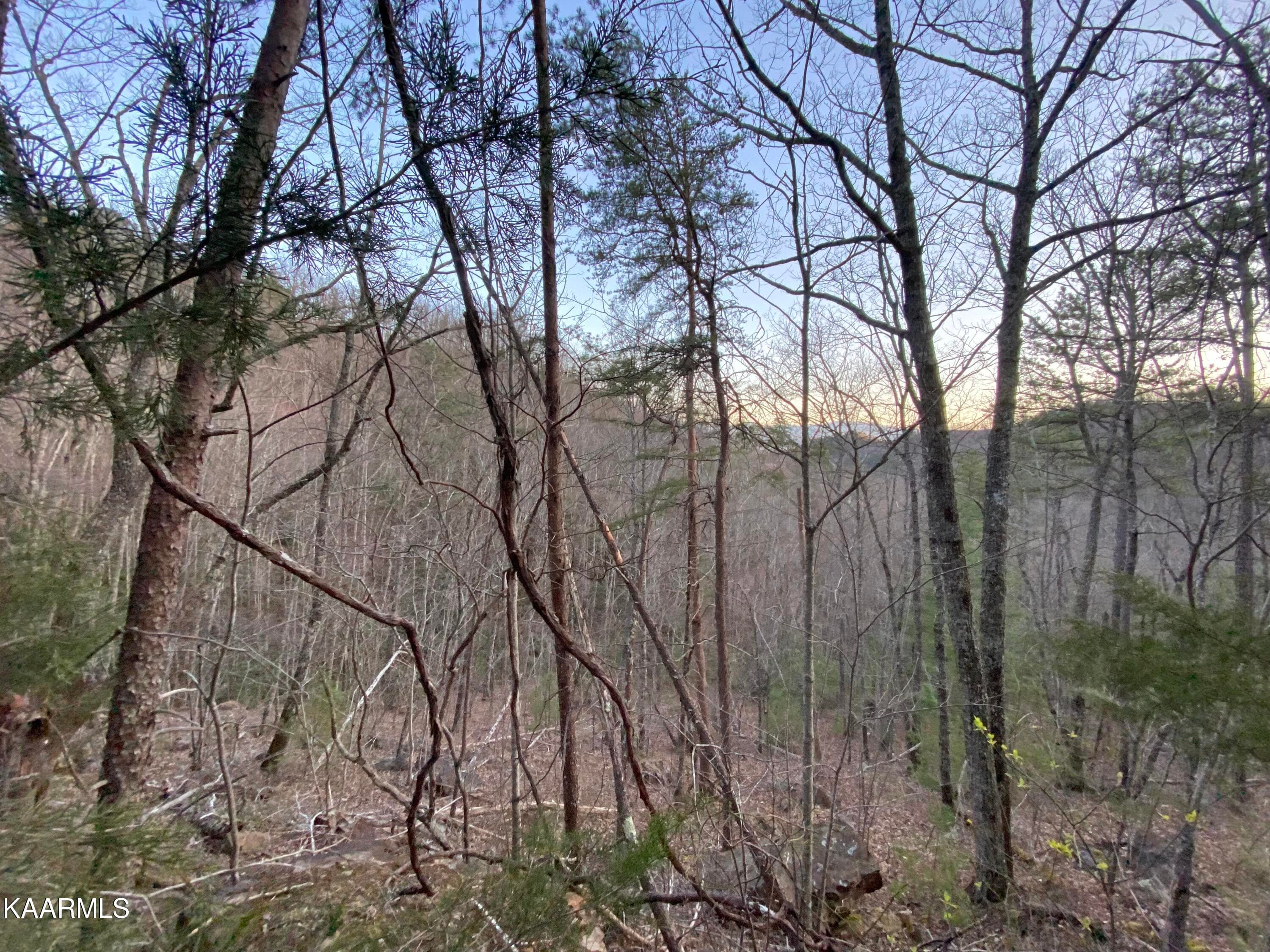 IMG_9398 - Lot 46 Beechwood St, Sevierville, TN 37876