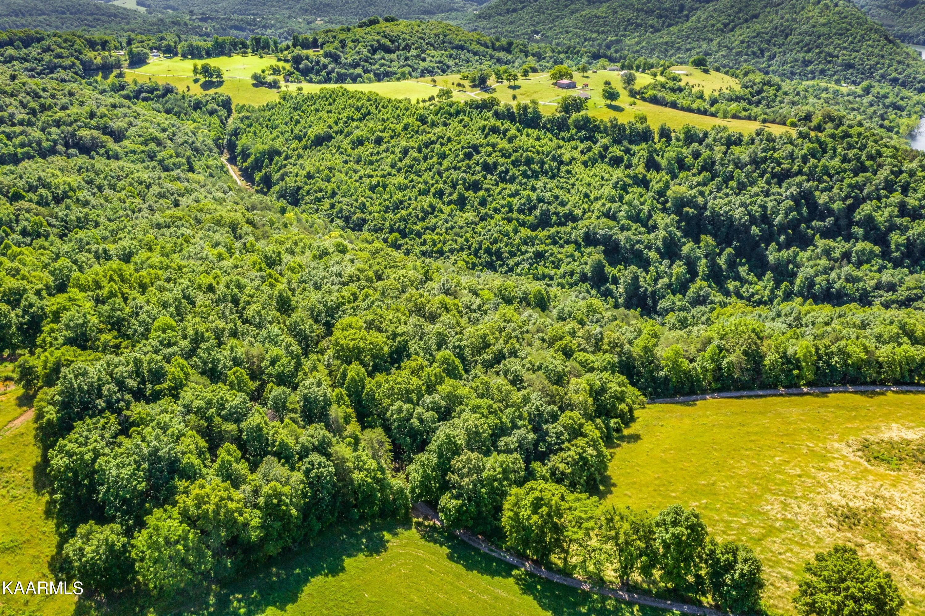 Exterior-51.jpg-SMALL - 745 Ronald Holt Lane, Tazewell, TN 37879