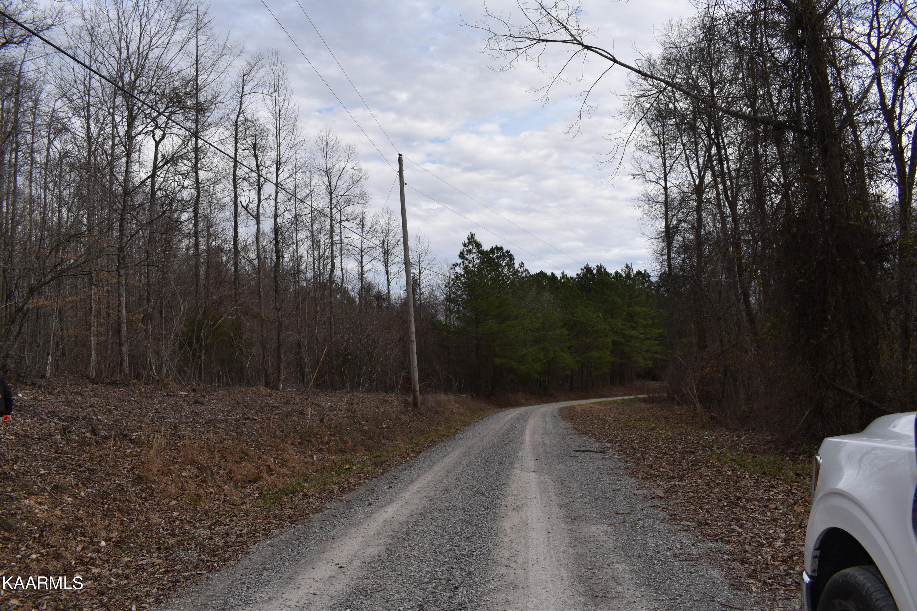 DSC_0017 - Lot 5 Jones Ridge Rd, Speedwell, TN 37870