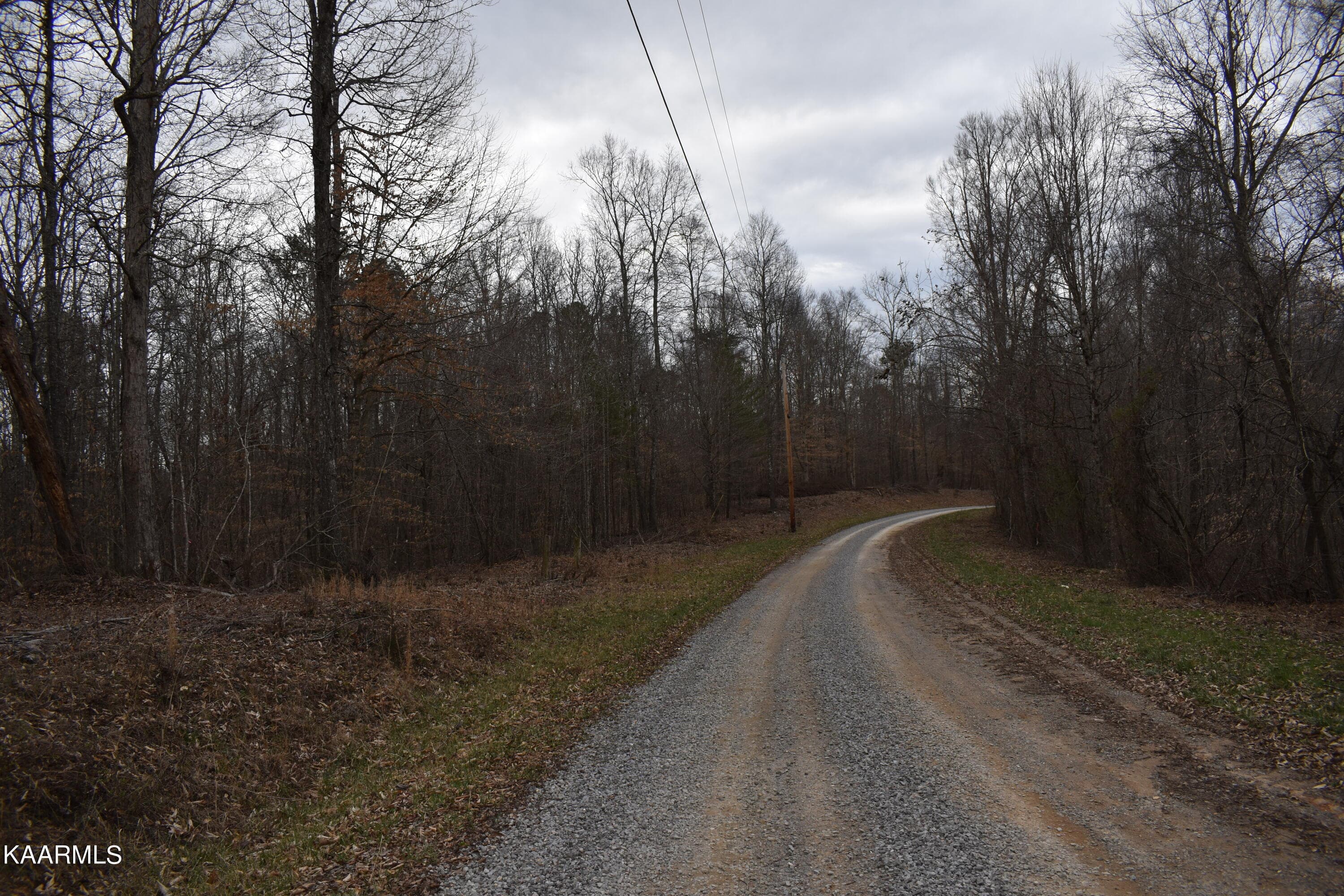 Lot 7 Jones Ridge Rd, Speedwell, TN 37870