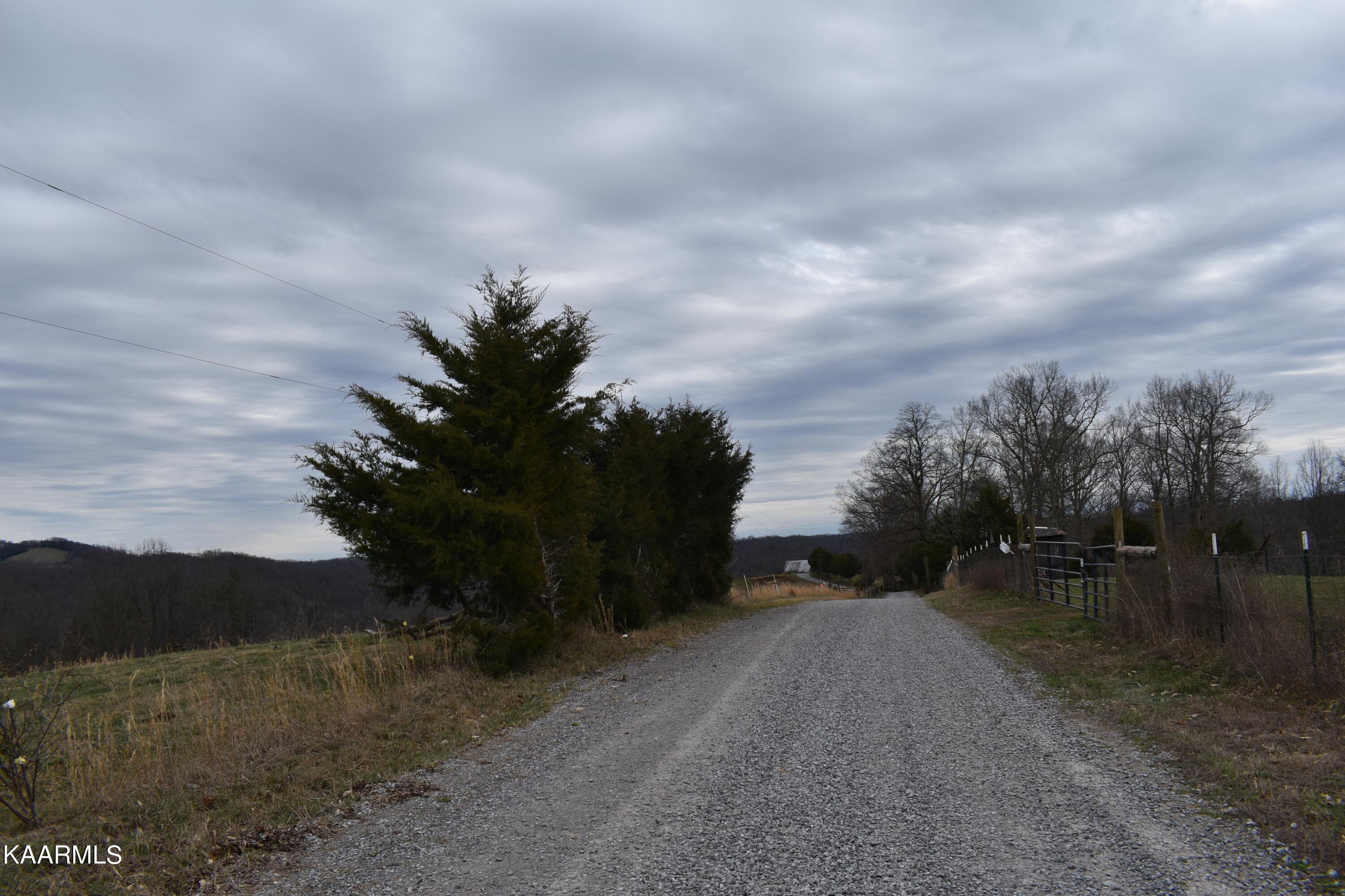 DSC_0006 - Lot 7 Jones Ridge Rd, Speedwell, TN 37870
