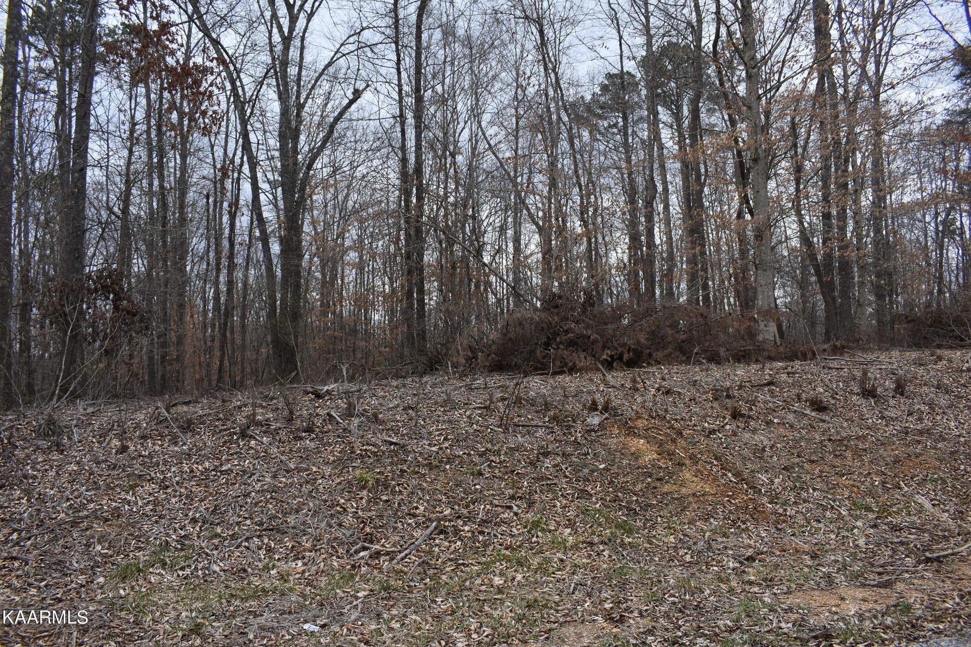 Lot 10 Jones Ridge Rd, Speedwell, TN 37870