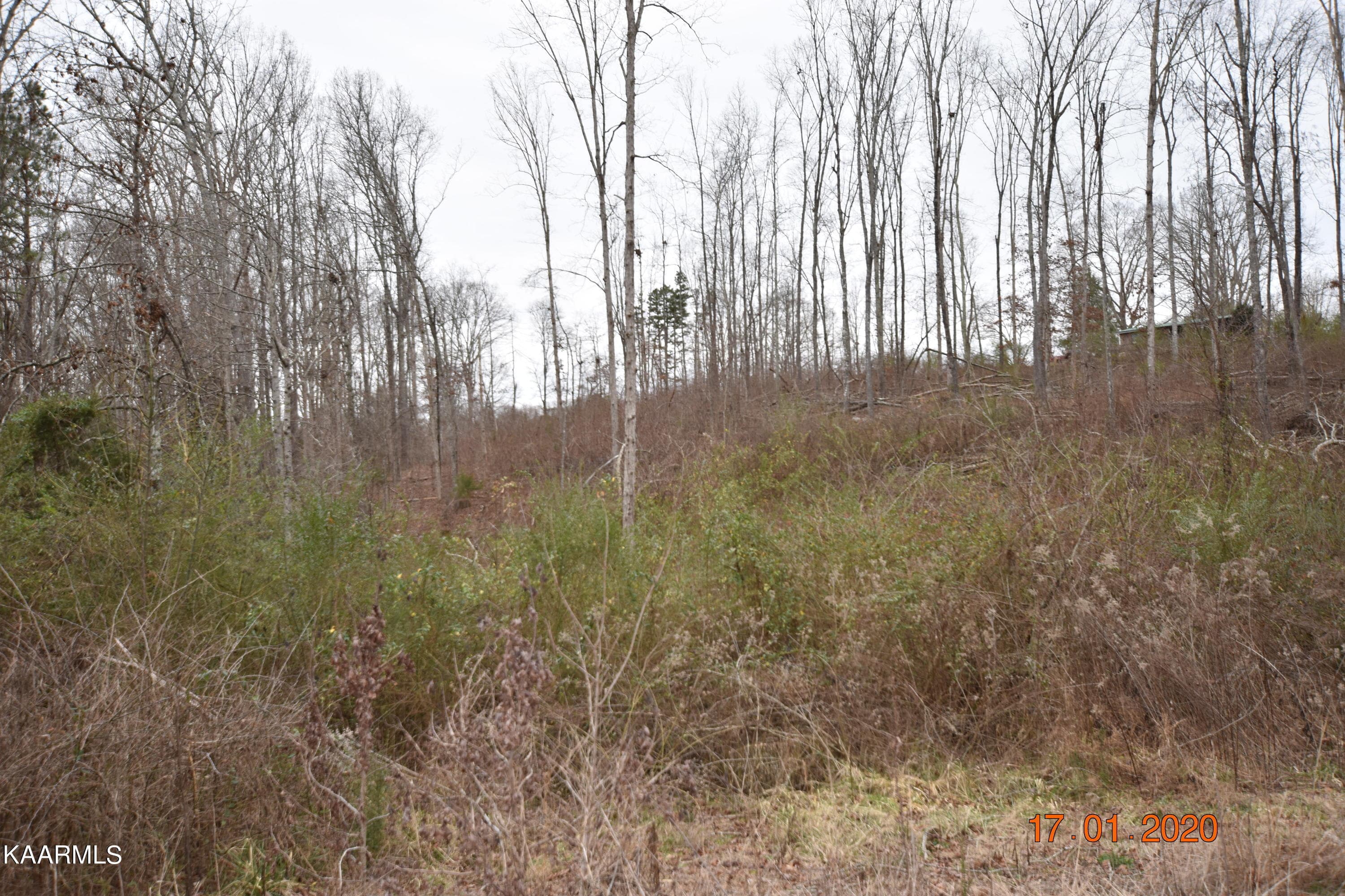20200120132025027276000000-o - Lot 3 Maple Grove Rd, Ten Mile, TN 37880