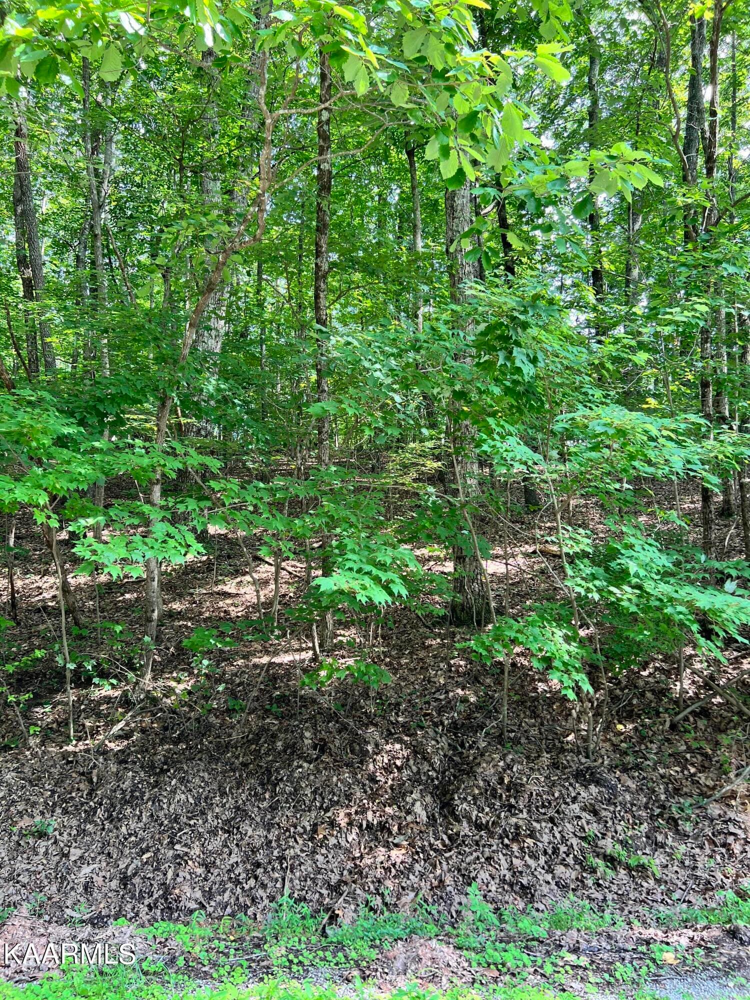 146 Shore Lane, Crossville, TN 38558