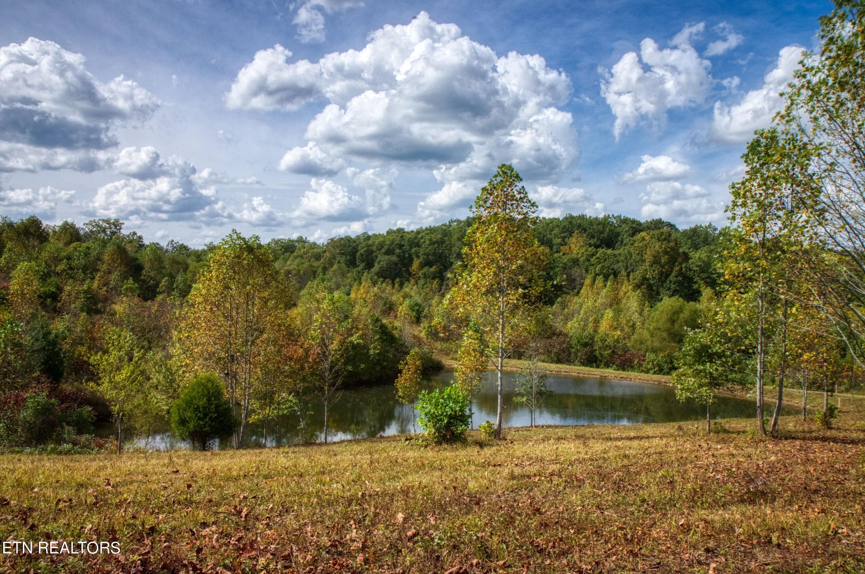 Lot 23 Old Mount Helen Rd, Allardt, TN 38504