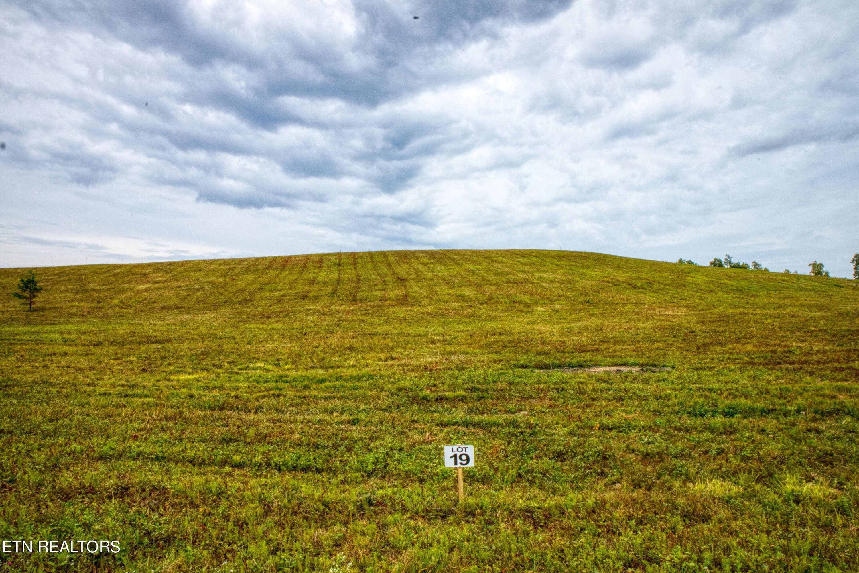 1 - Lot 19 Old Mt Helen Rd, Allardt, TN 38504