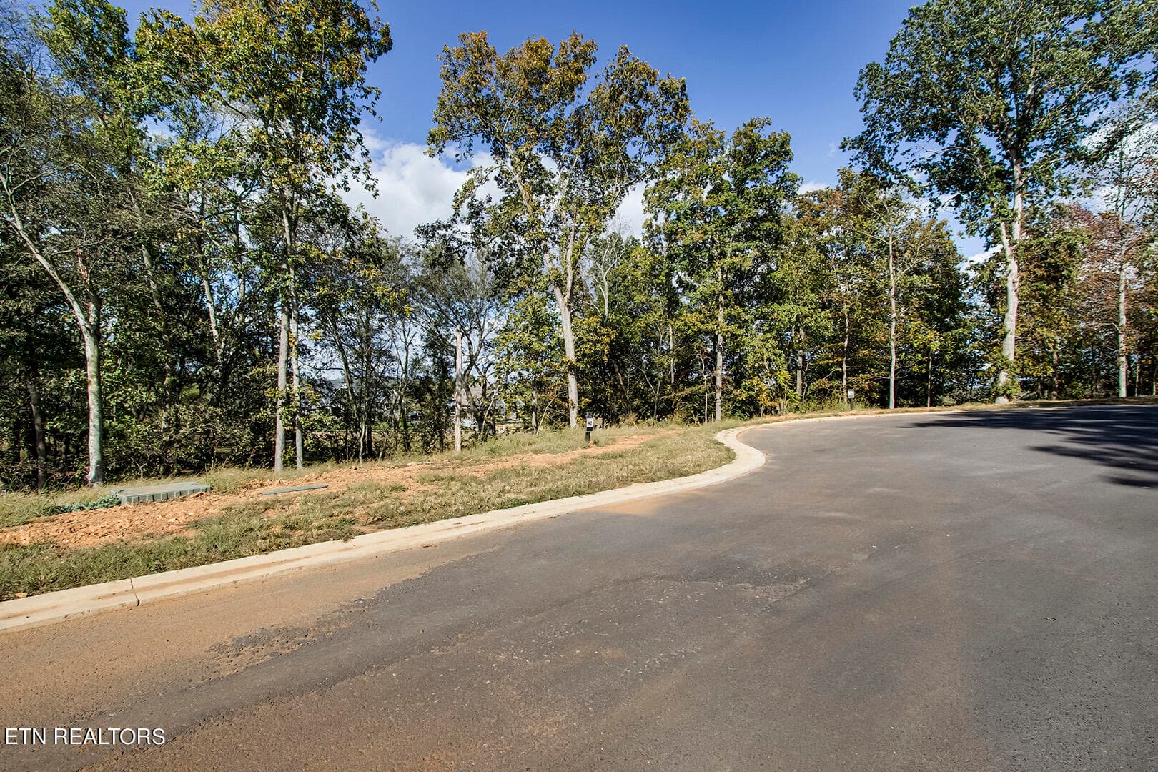06_KehoCourt_173_Street_E - 173 Keho Court, Loudon, TN 37774