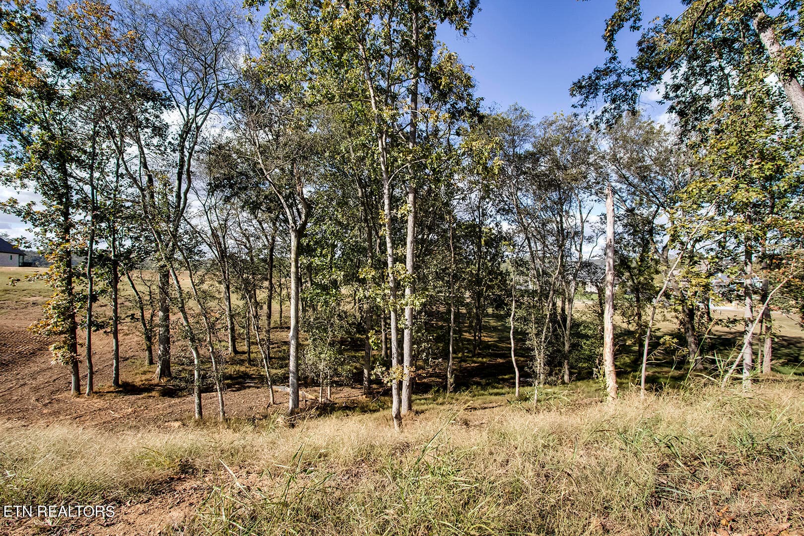 07_KehoCourt_173_StreetLevelLotView_N - 173 Keho Court, Loudon, TN 37774