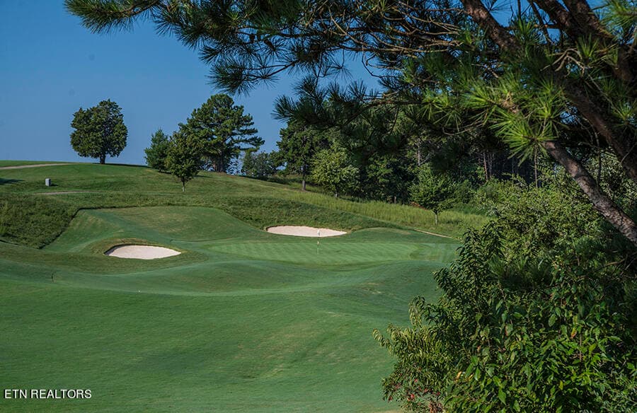 Golf Course - 1668 Taffrail Drive, Lenoir City, TN 37772, Lenoir City