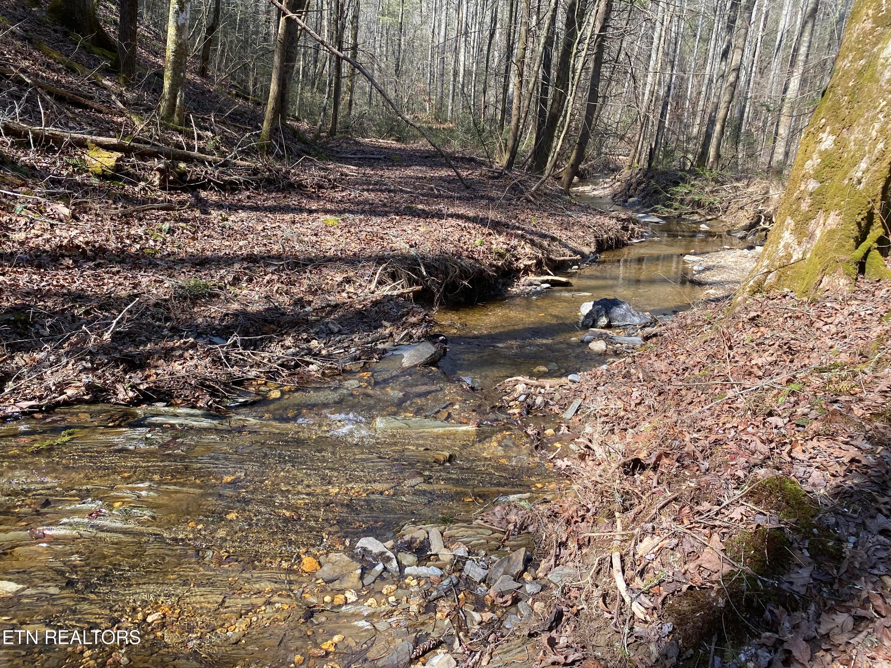 RAFTER 1 - 57.09 acs Rafter Rd, Tellico Plains, TN 37385