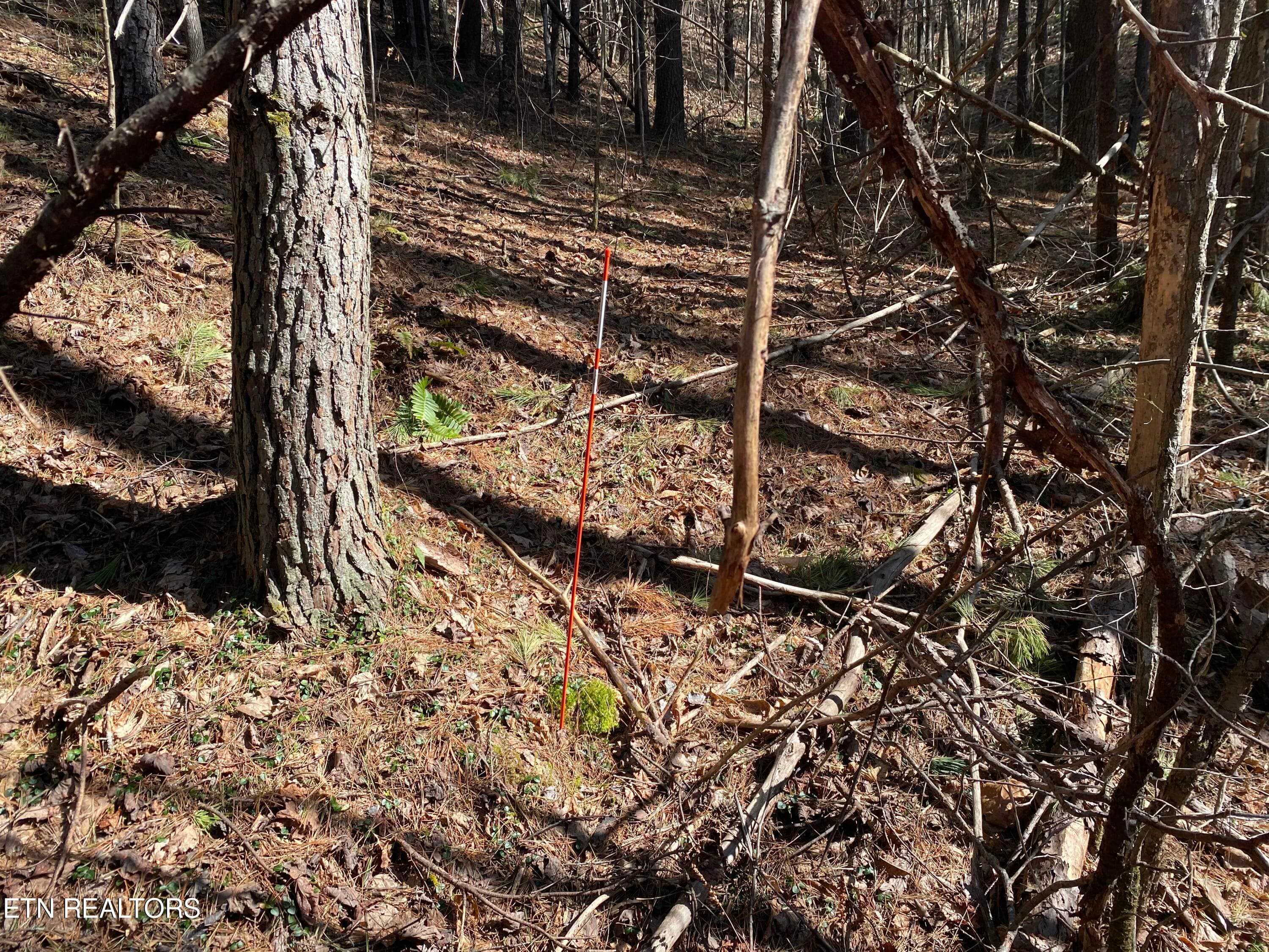 RAFTER 2 - 57.09 acs Rafter Rd, Tellico Plains, TN 37385