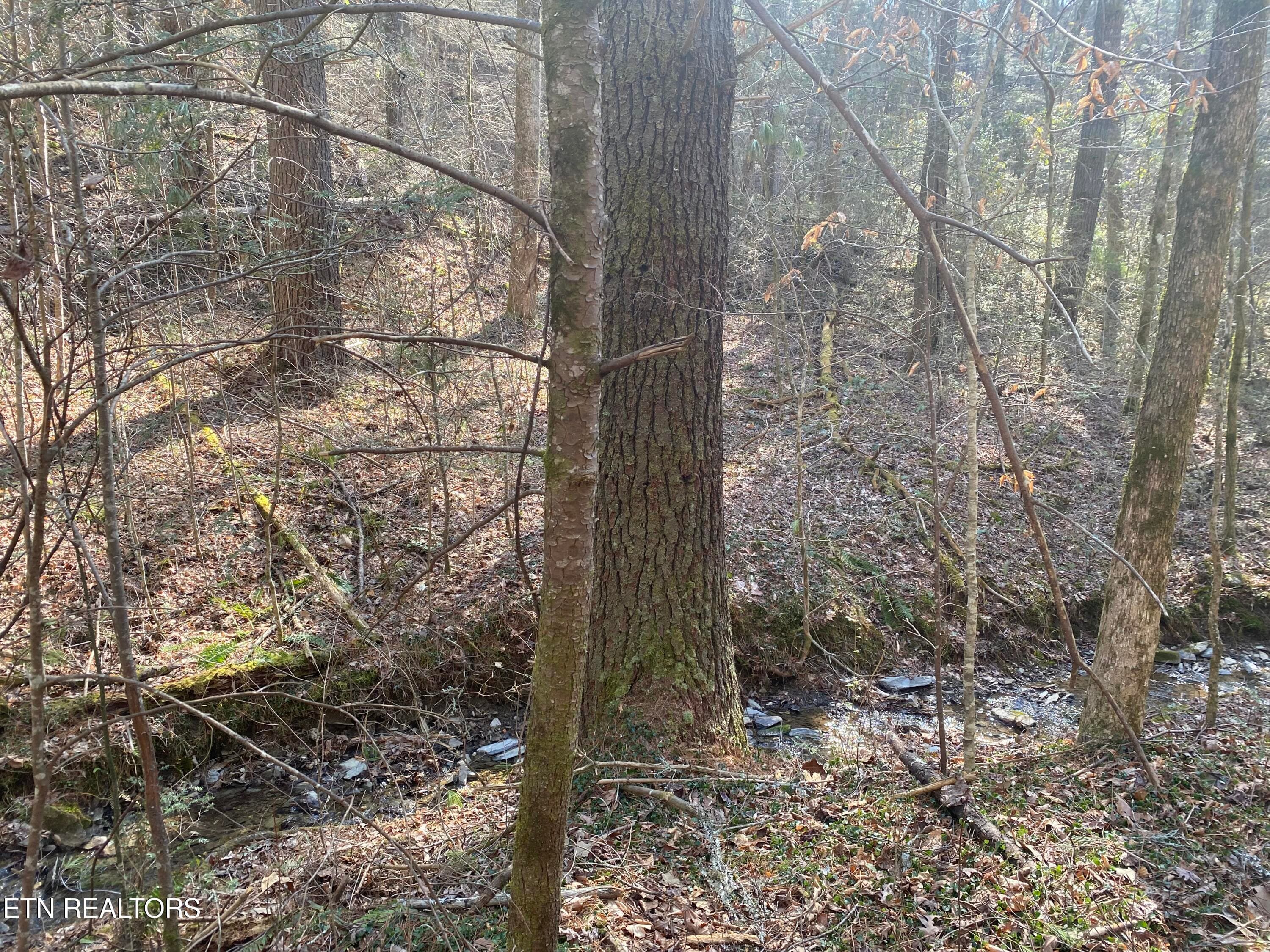 RAFTER 3 - 57.09 acs Rafter Rd, Tellico Plains, TN 37385