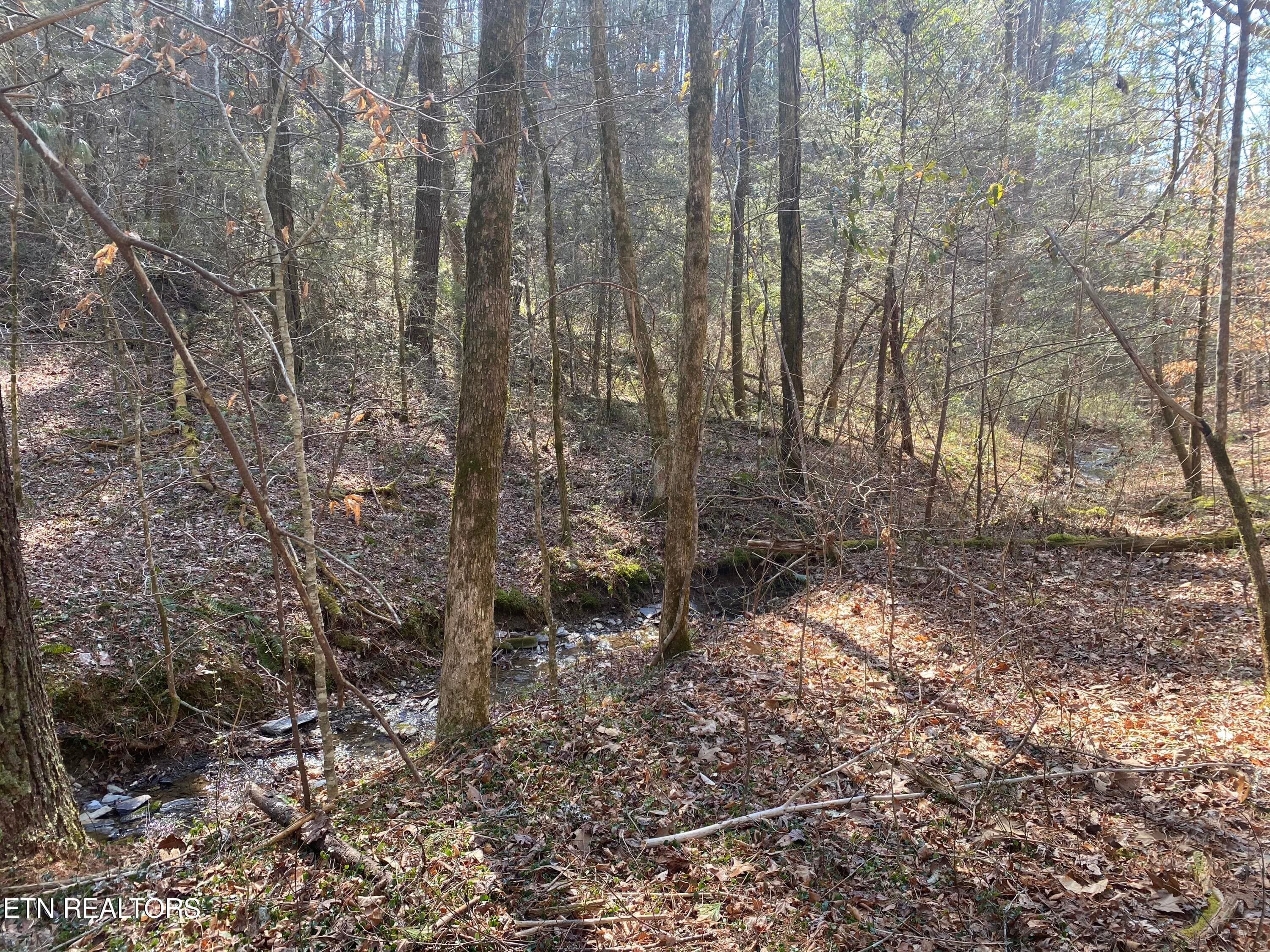 RAFTER 4 - 57.09 acs Rafter Rd, Tellico Plains, TN 37385