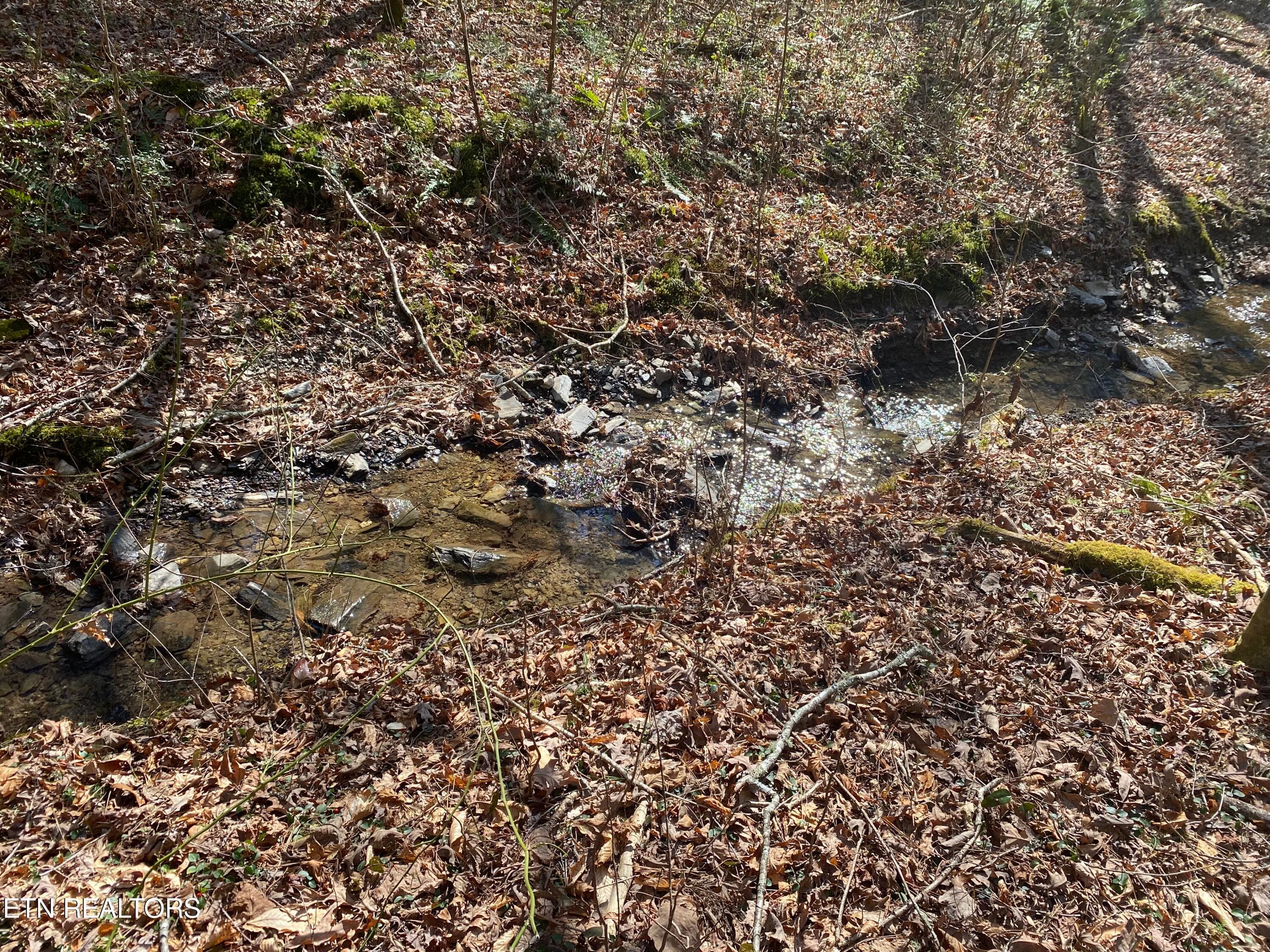 RAFTER 5 - 57.09 acs Rafter Rd, Tellico Plains, TN 37385