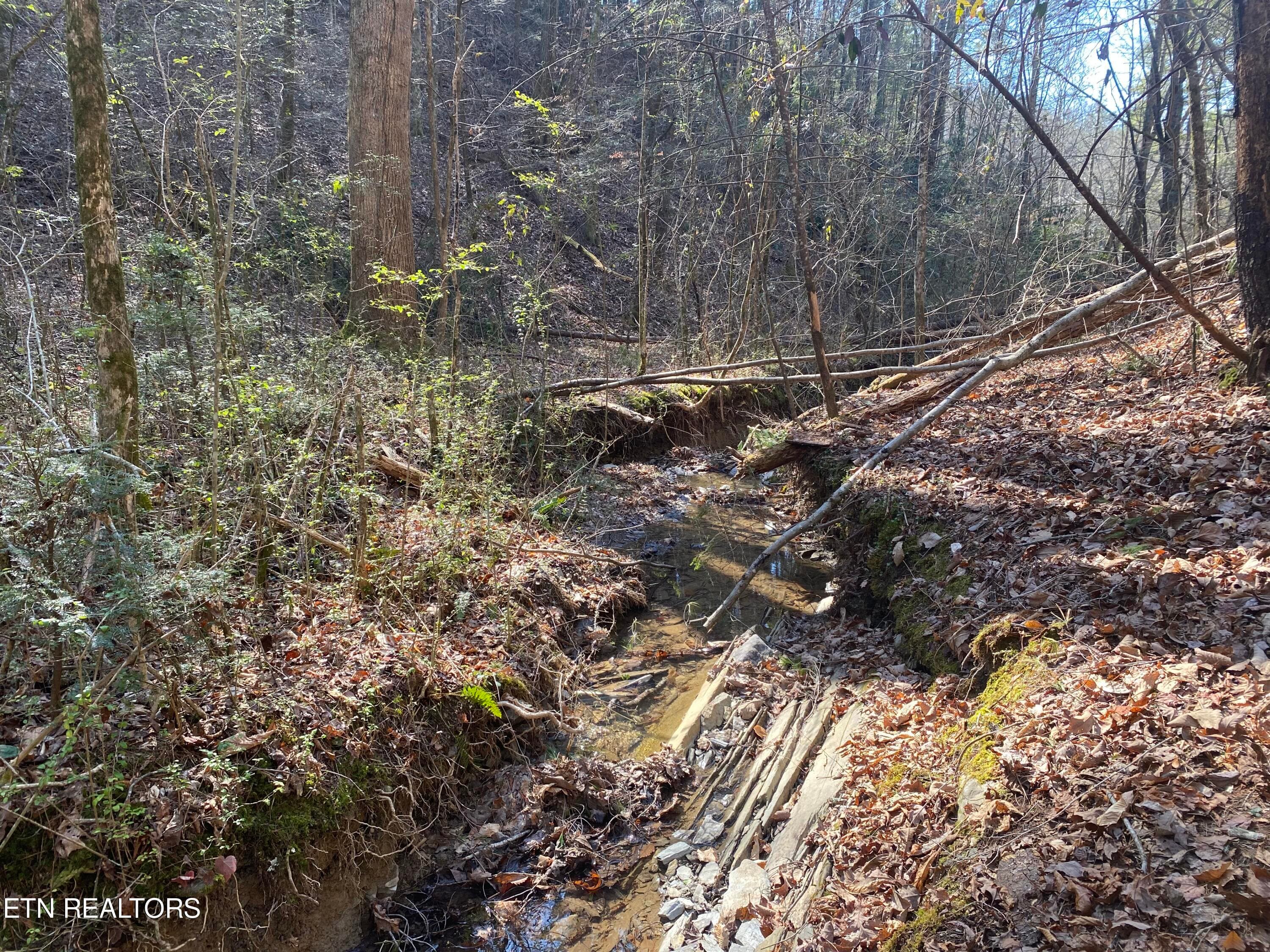 RAFTER 6 - 57.09 acs Rafter Rd, Tellico Plains, TN 37385