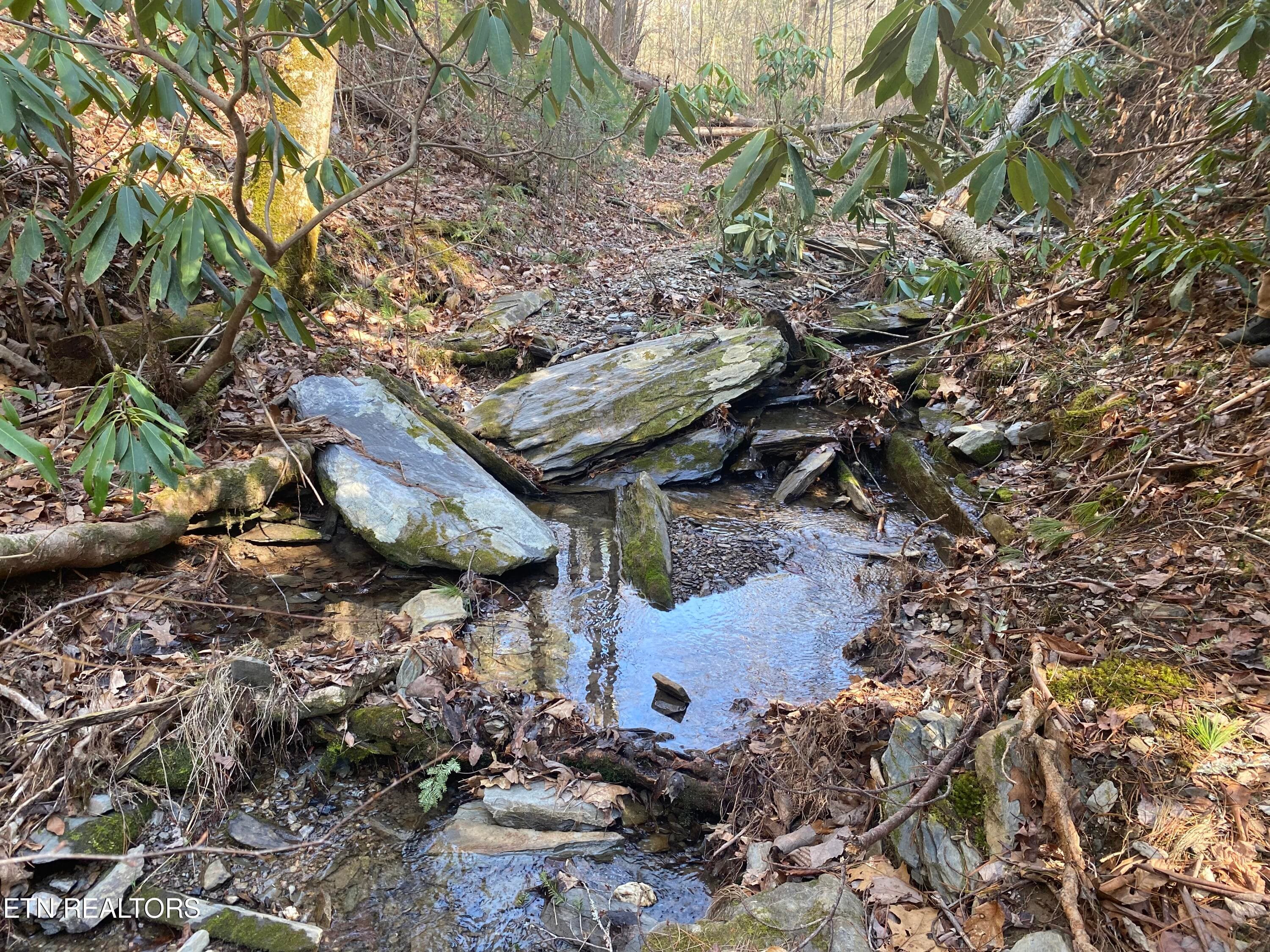 RAFTER 7 - 57.09 acs Rafter Rd, Tellico Plains, TN 37385