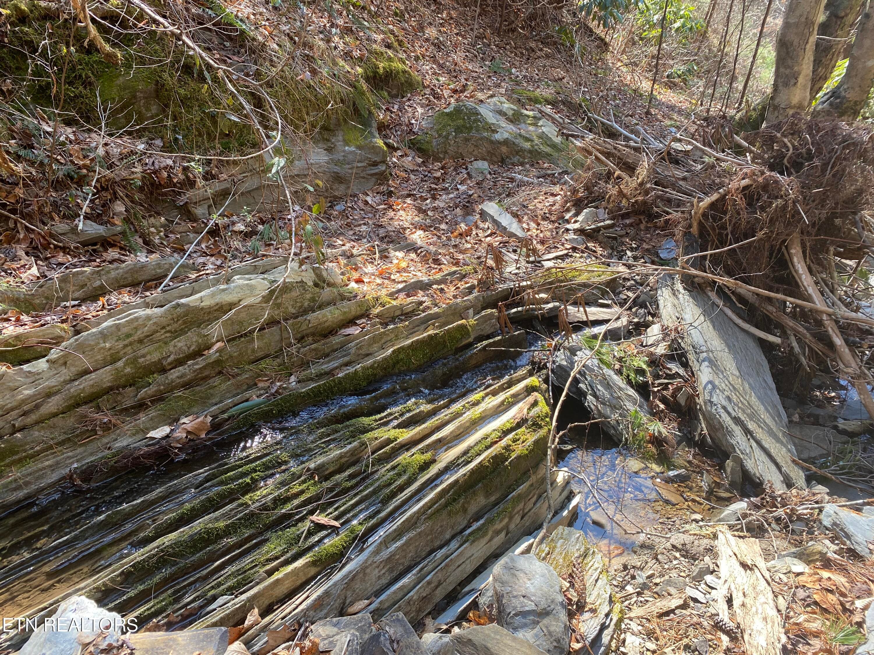 RAFTER 8 - 57.09 acs Rafter Rd, Tellico Plains, TN 37385
