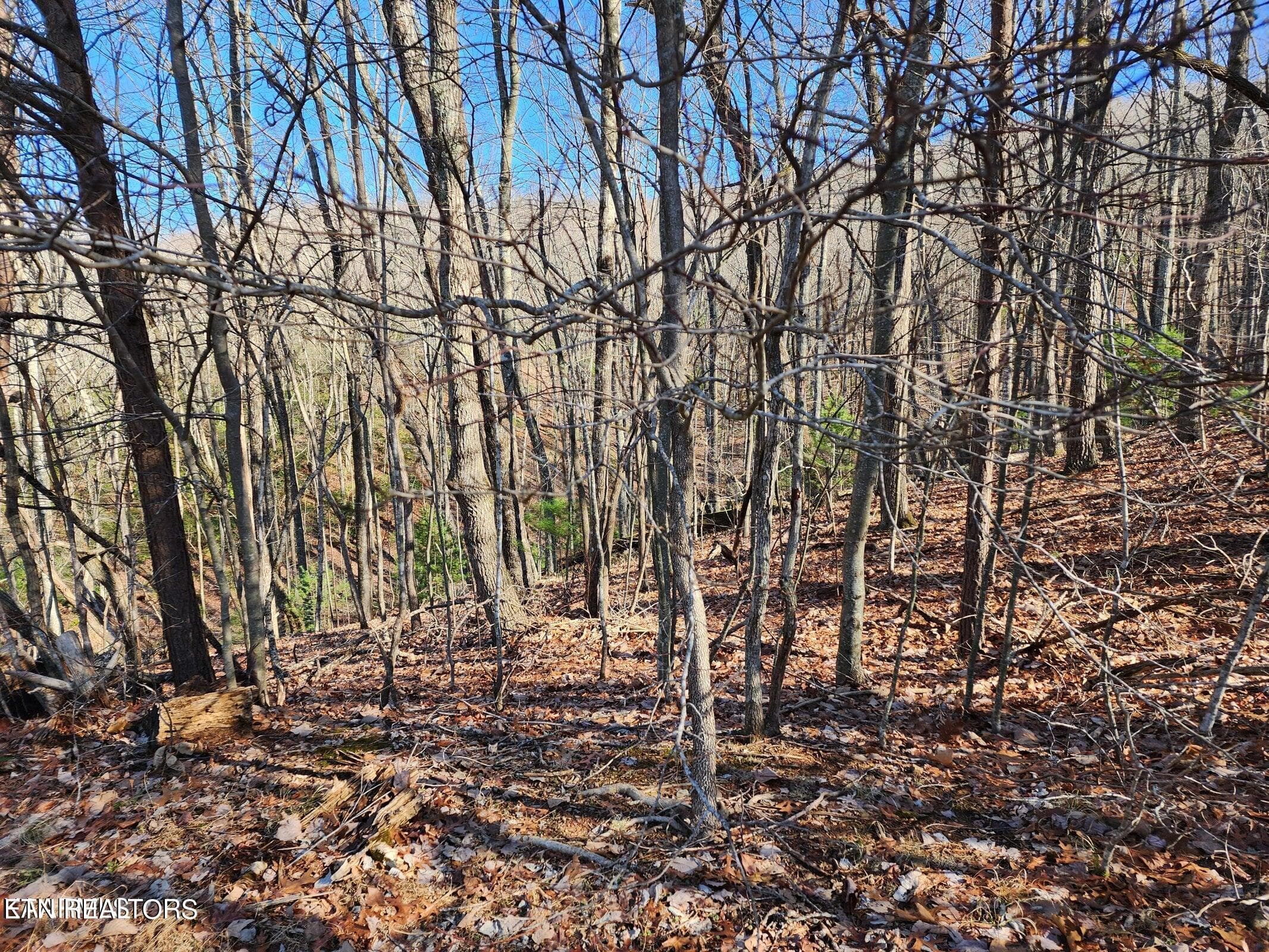 56 Homberg Lane, Crossville, TN 38558