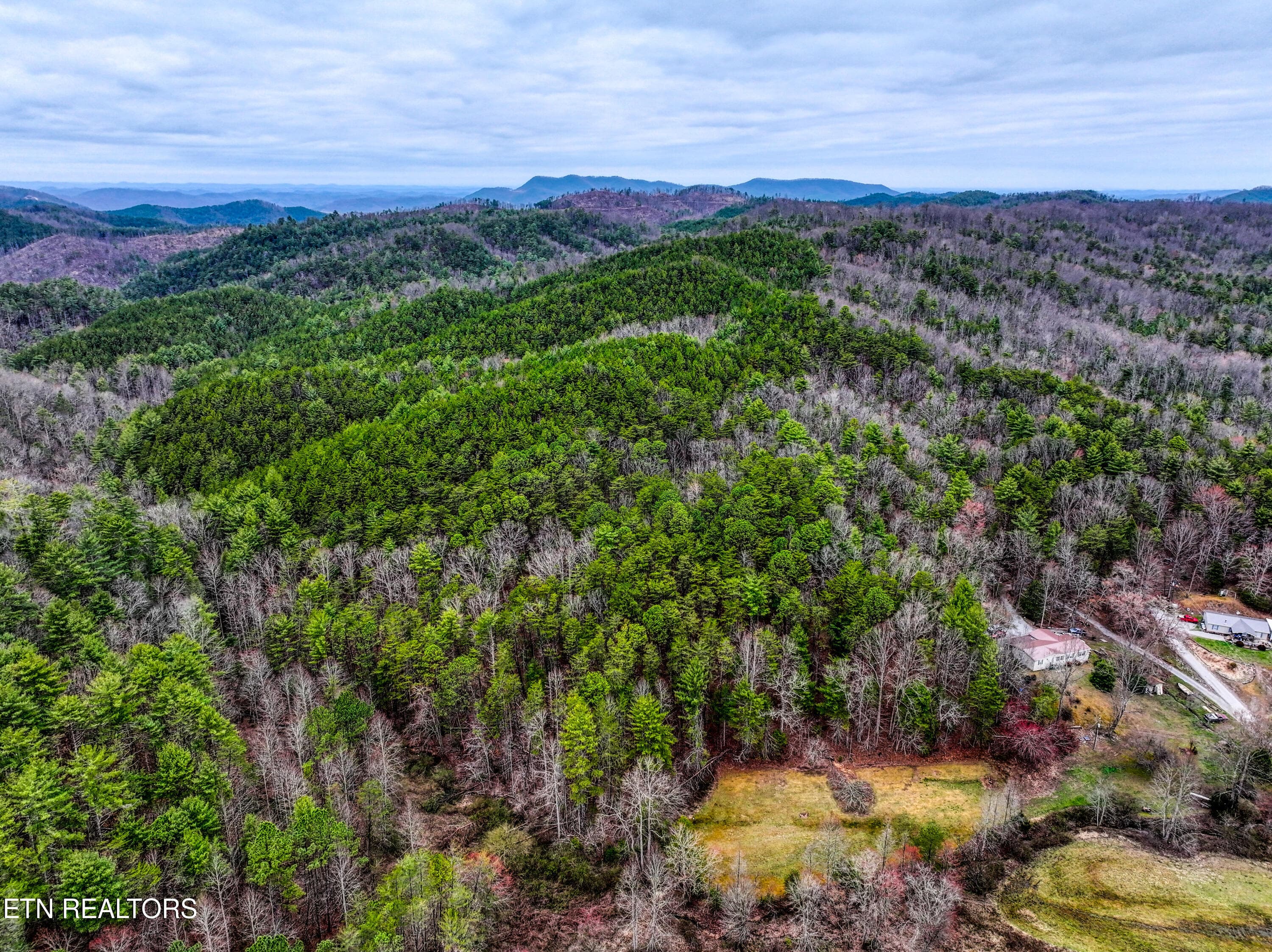TELLICO 2 - 57.09 acs Rafter Rd, Tellico Plains, TN 37385