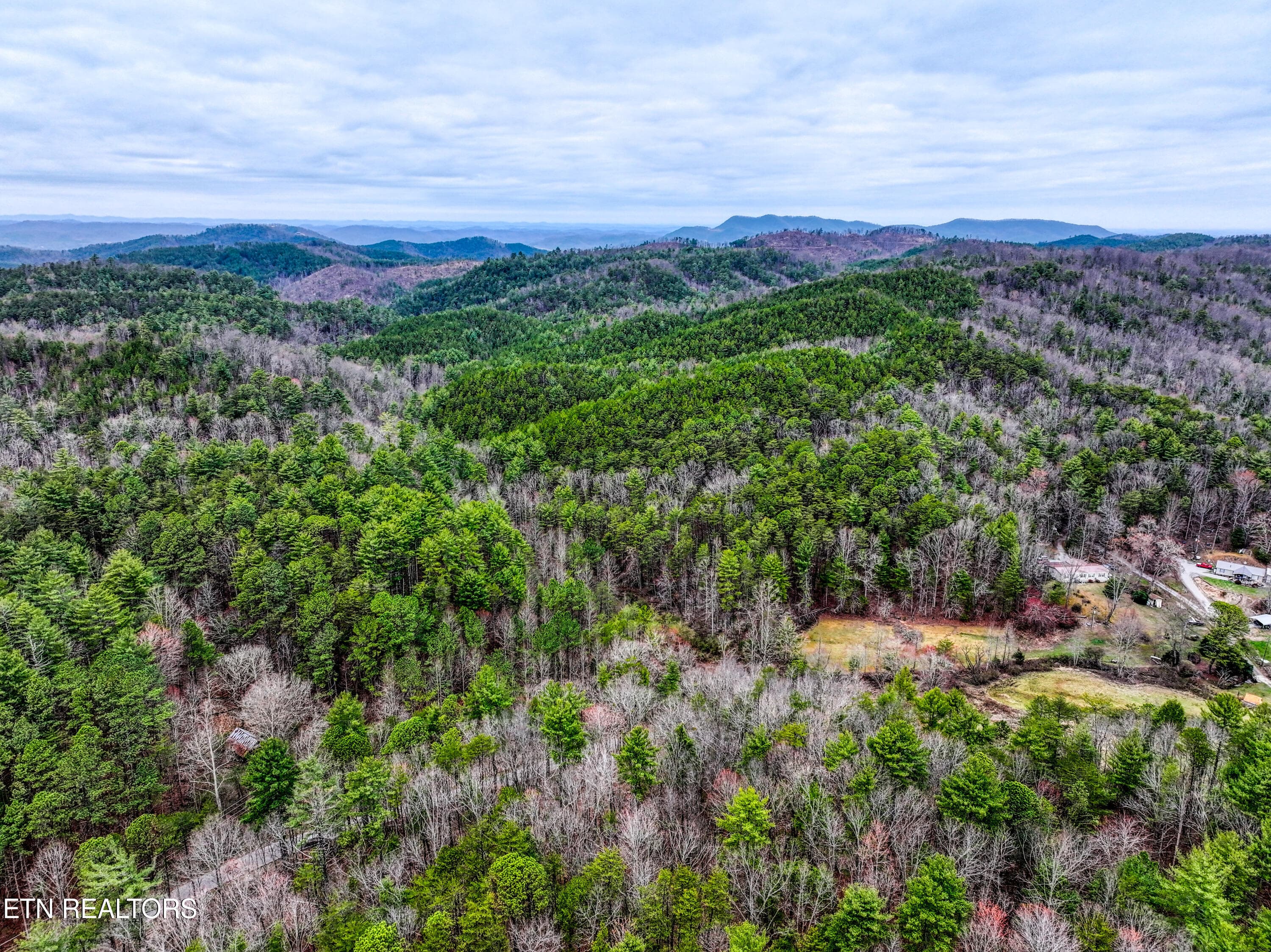 TELLICO 4 - 57.09 acs Rafter Rd, Tellico Plains, TN 37385