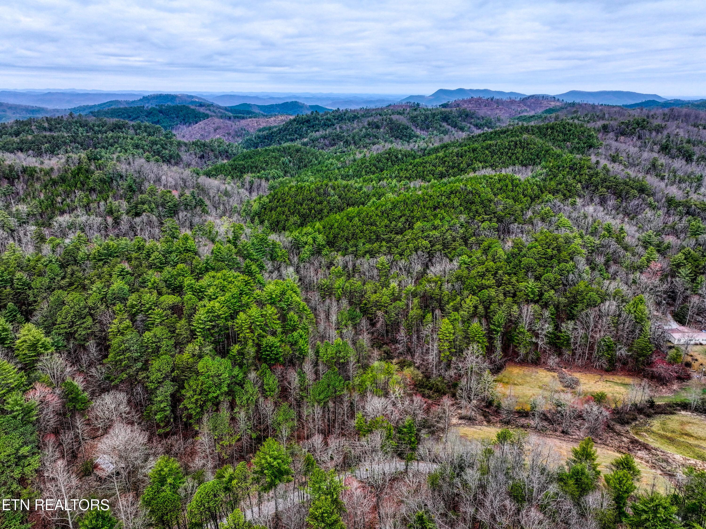 TELLICO 5 - 57.09 acs Rafter Rd, Tellico Plains, TN 37385