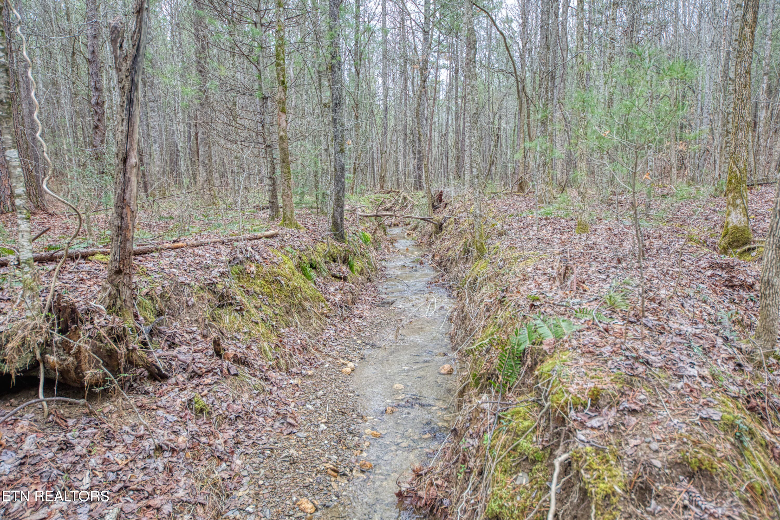 TELLICO 7 - 57.09 acs Rafter Rd, Tellico Plains, TN 37385