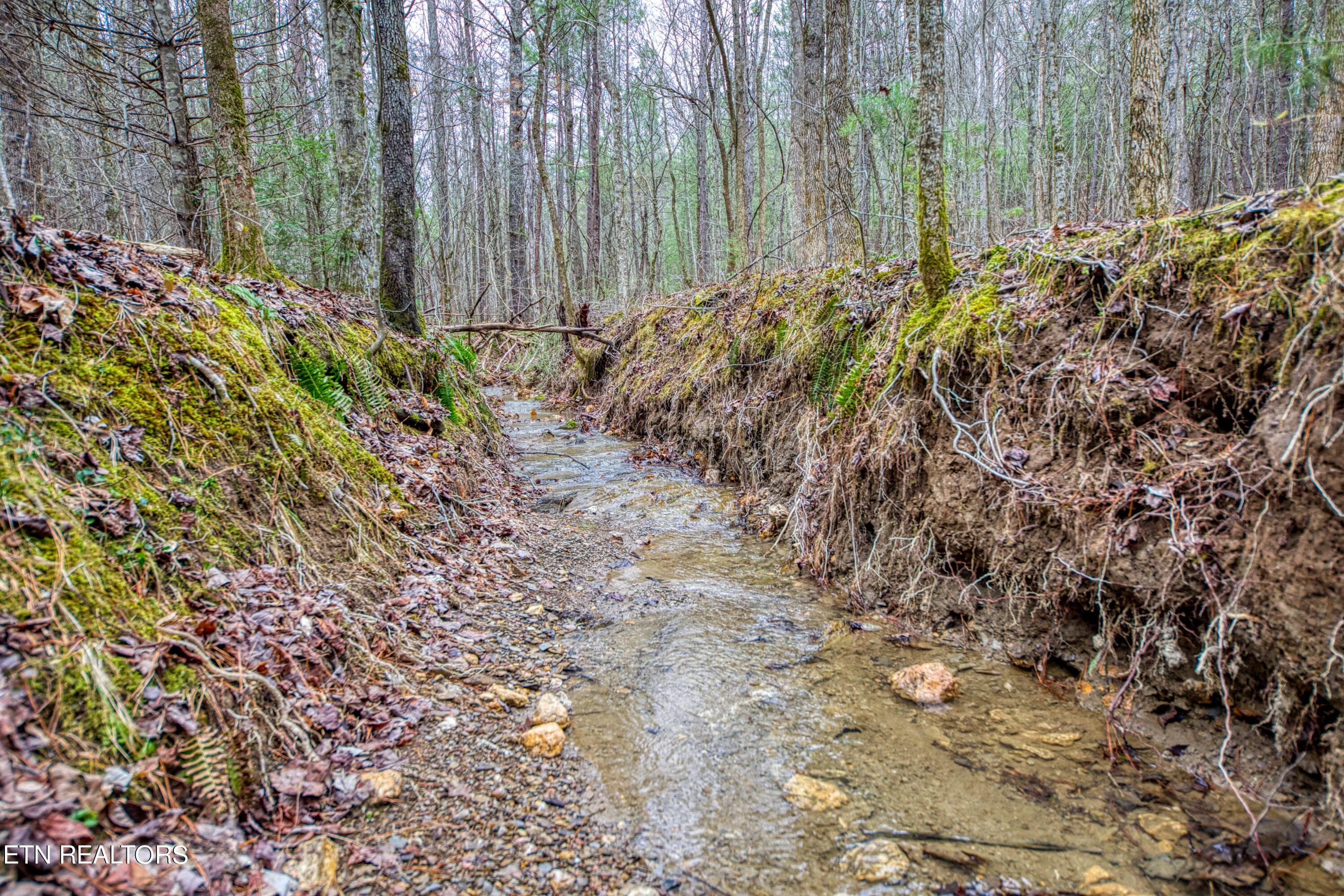 TELLICO 8 - 57.09 acs Rafter Rd, Tellico Plains, TN 37385