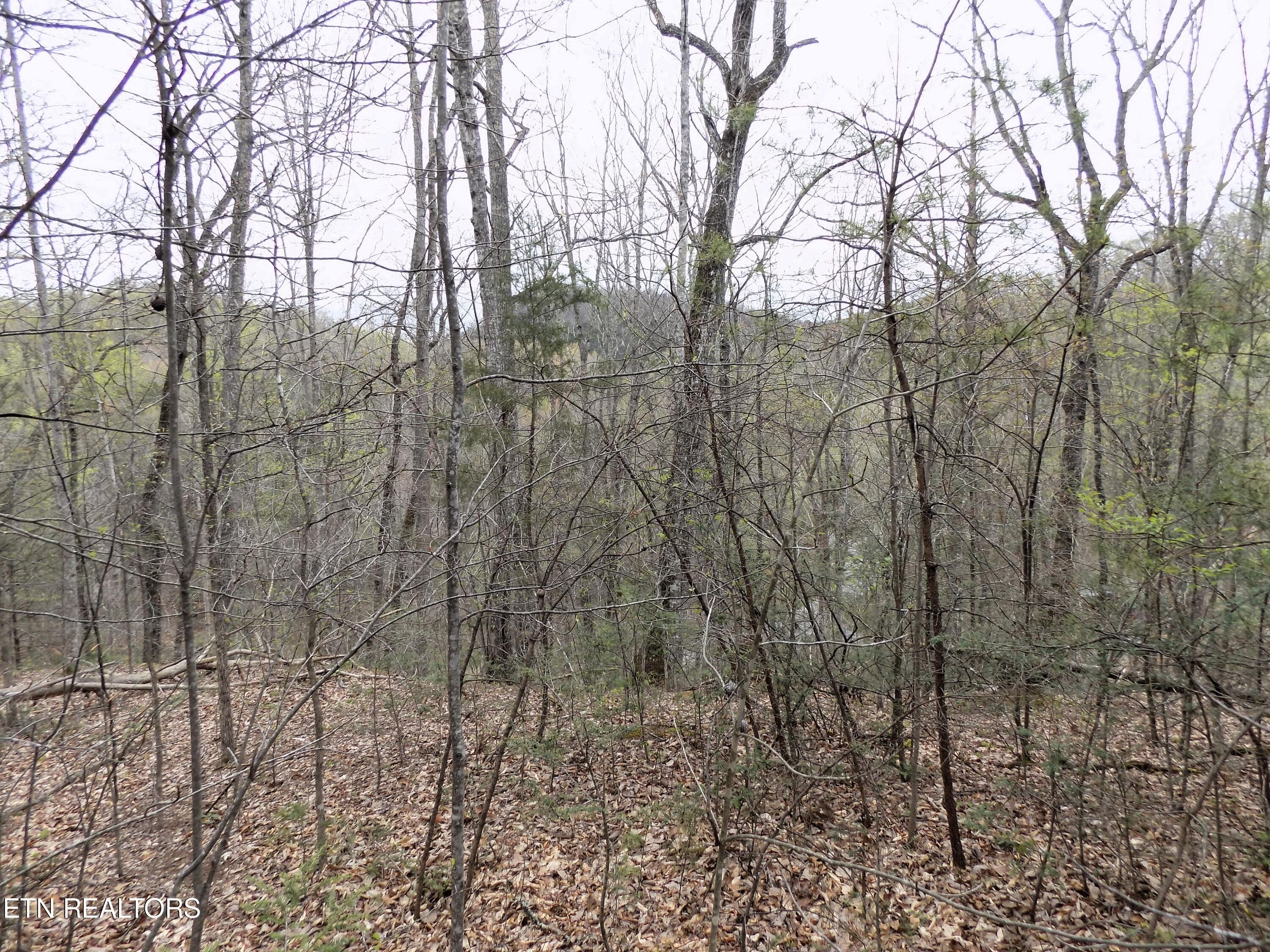Par 001.08 Mountain Shadow Way, Cosby, TN 37722