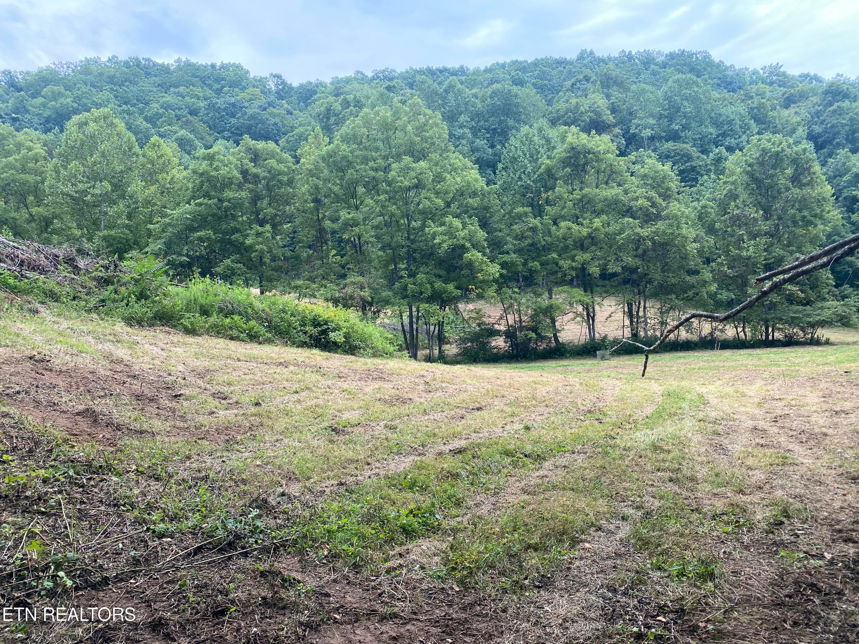 IMG_0753 - 1088 Jones Ridge Rd, Speedwell, TN 37870