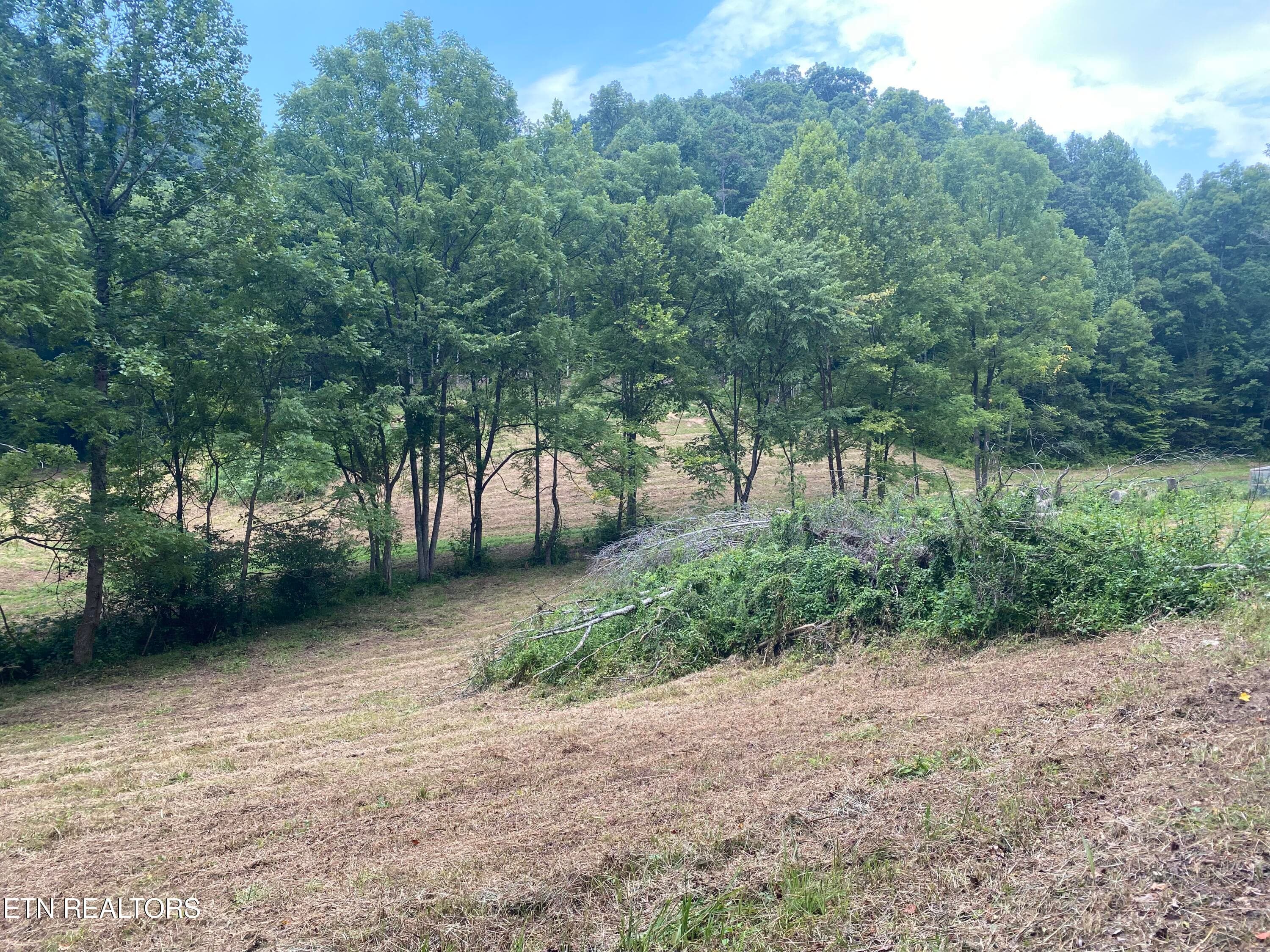 IMG_0754 - 1088 Jones Ridge Rd, Speedwell, TN 37870