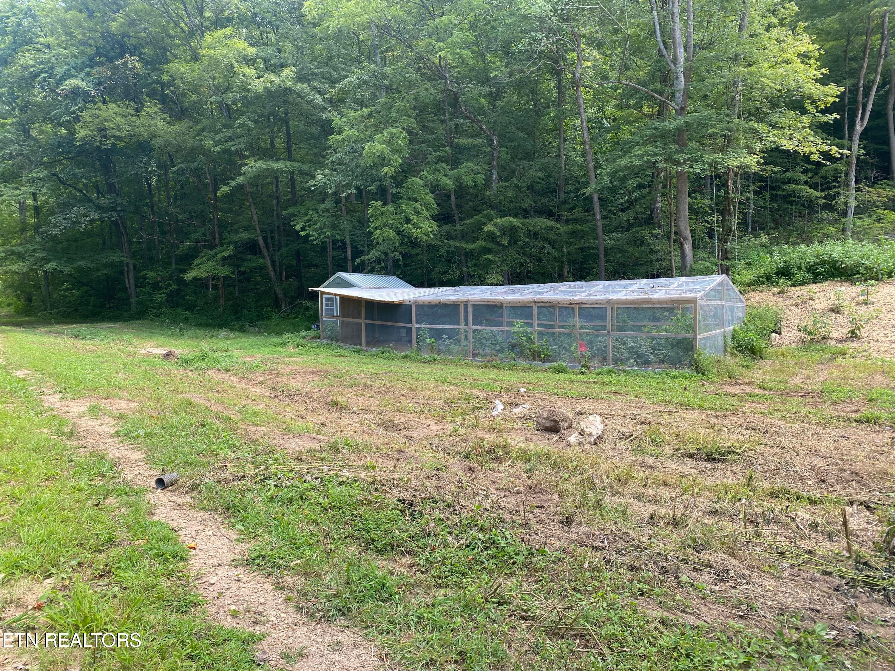 IMG_0755 - 1088 Jones Ridge Rd, Speedwell, TN 37870