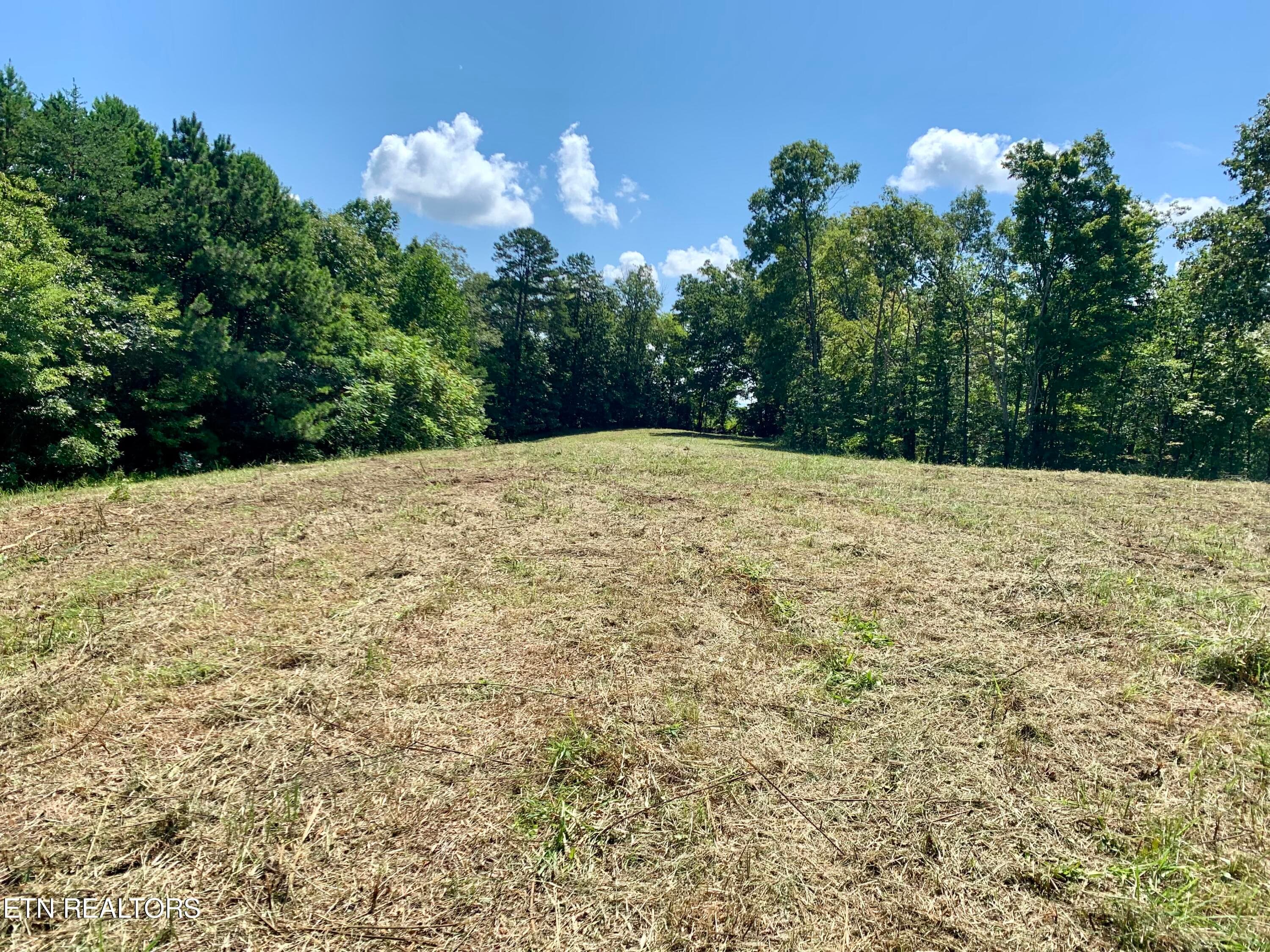 IMG_8238 - 1088 Jones Ridge Rd, Speedwell, TN 37870