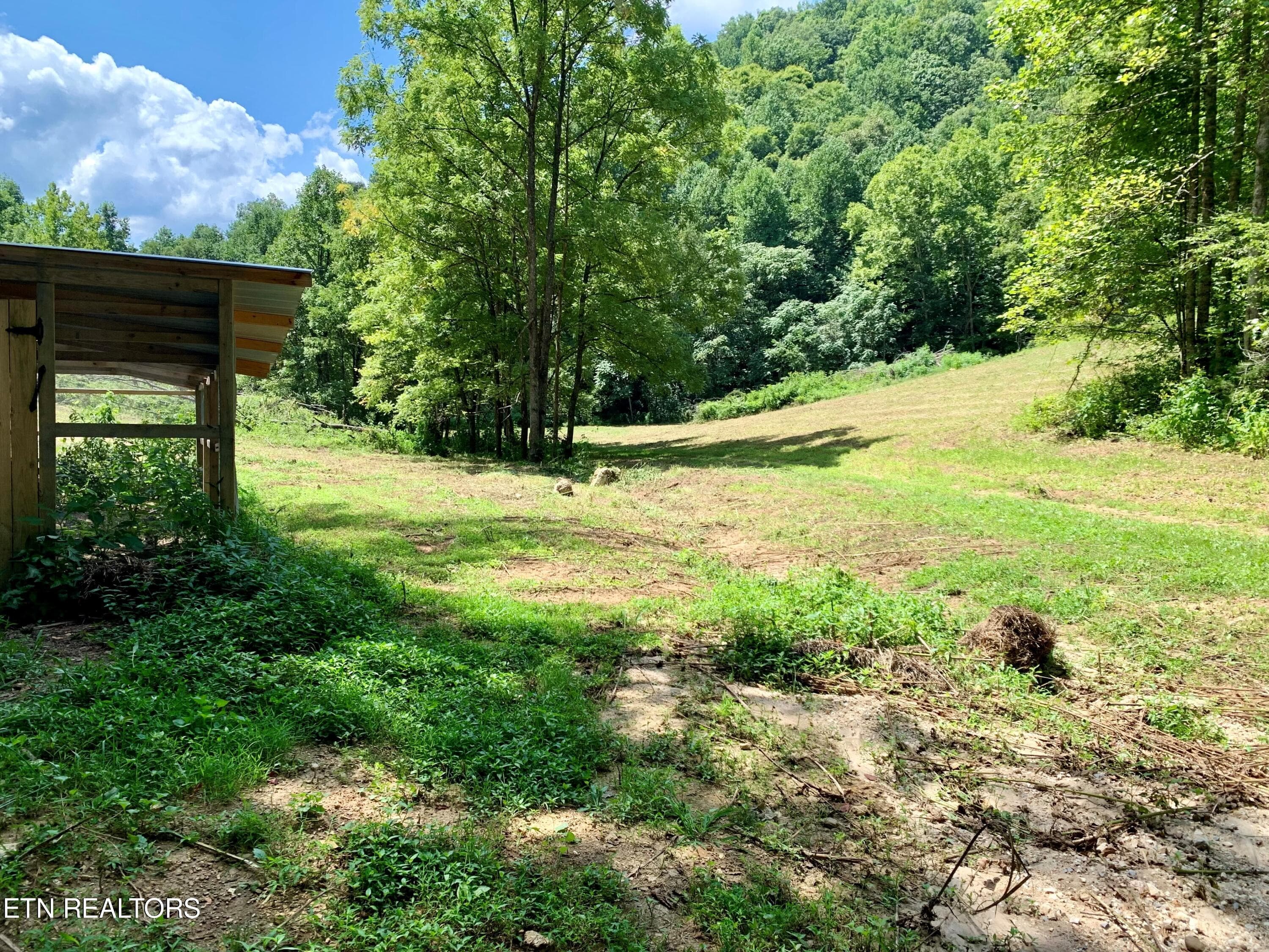 4 - 1088 Jones Ridge Rd, Speedwell, TN 37870