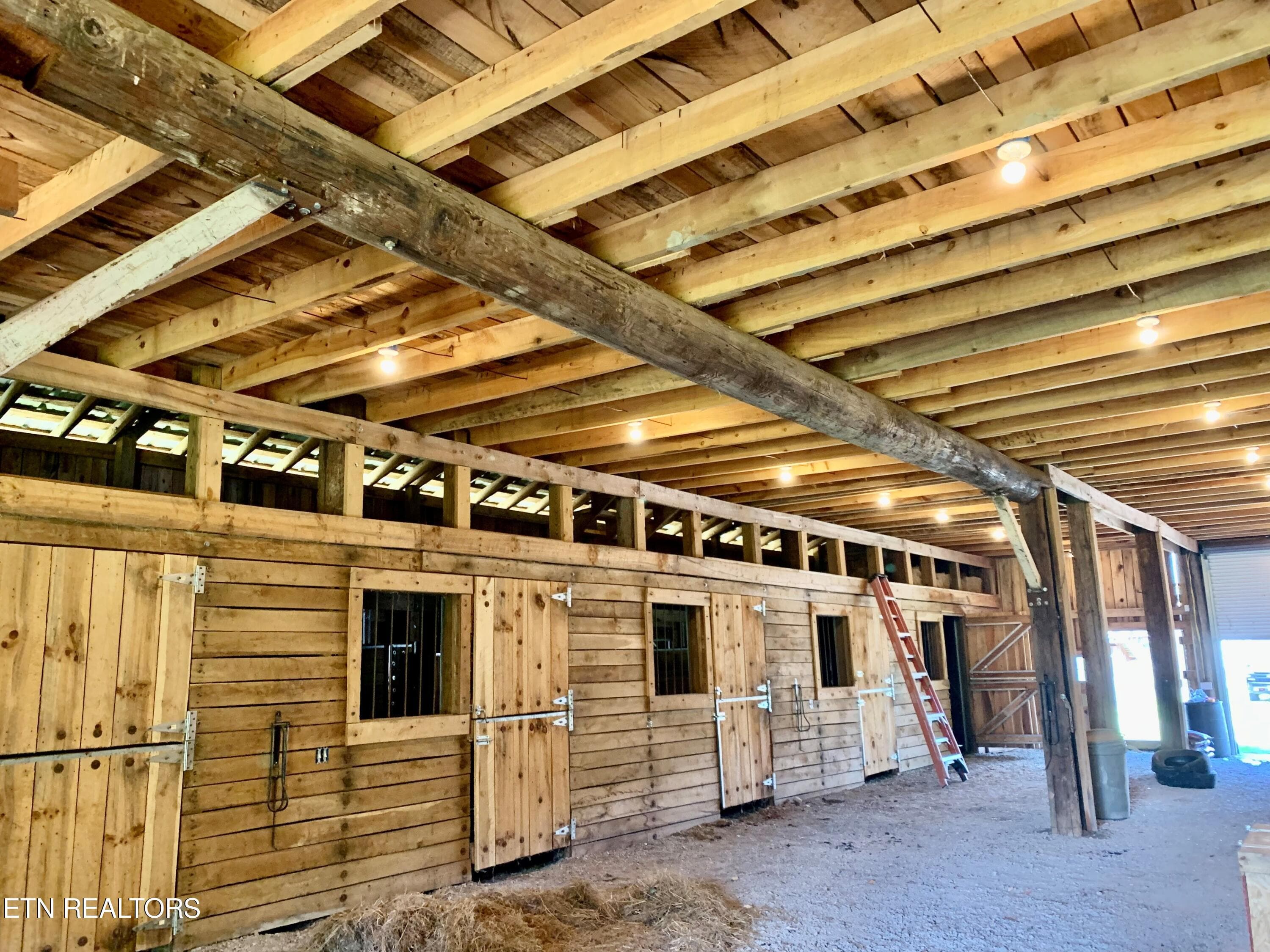 10 - 1088 Jones Ridge Rd, Speedwell, TN 37870
