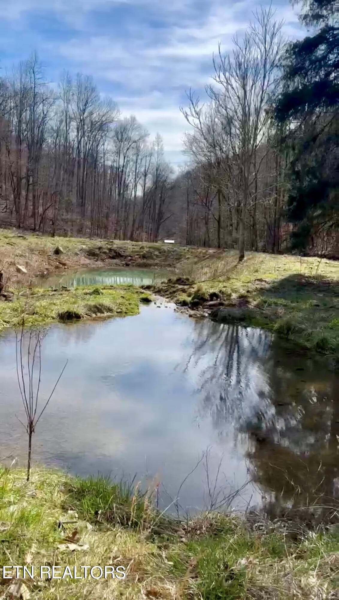 5 - 1088 Jones Ridge Rd, Speedwell, TN 37870