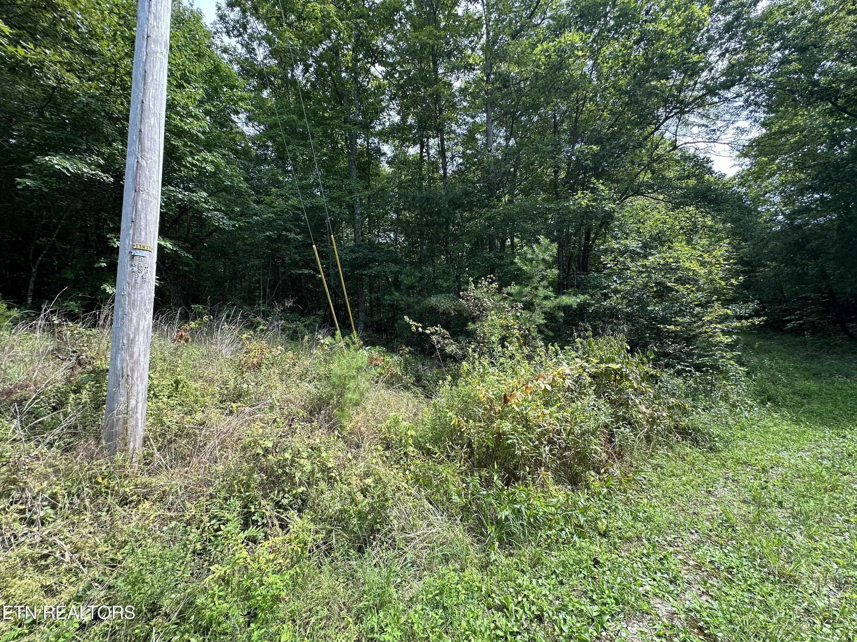 IMG_6980 - Anthony Rd, Deer Lodge, TN 37726
